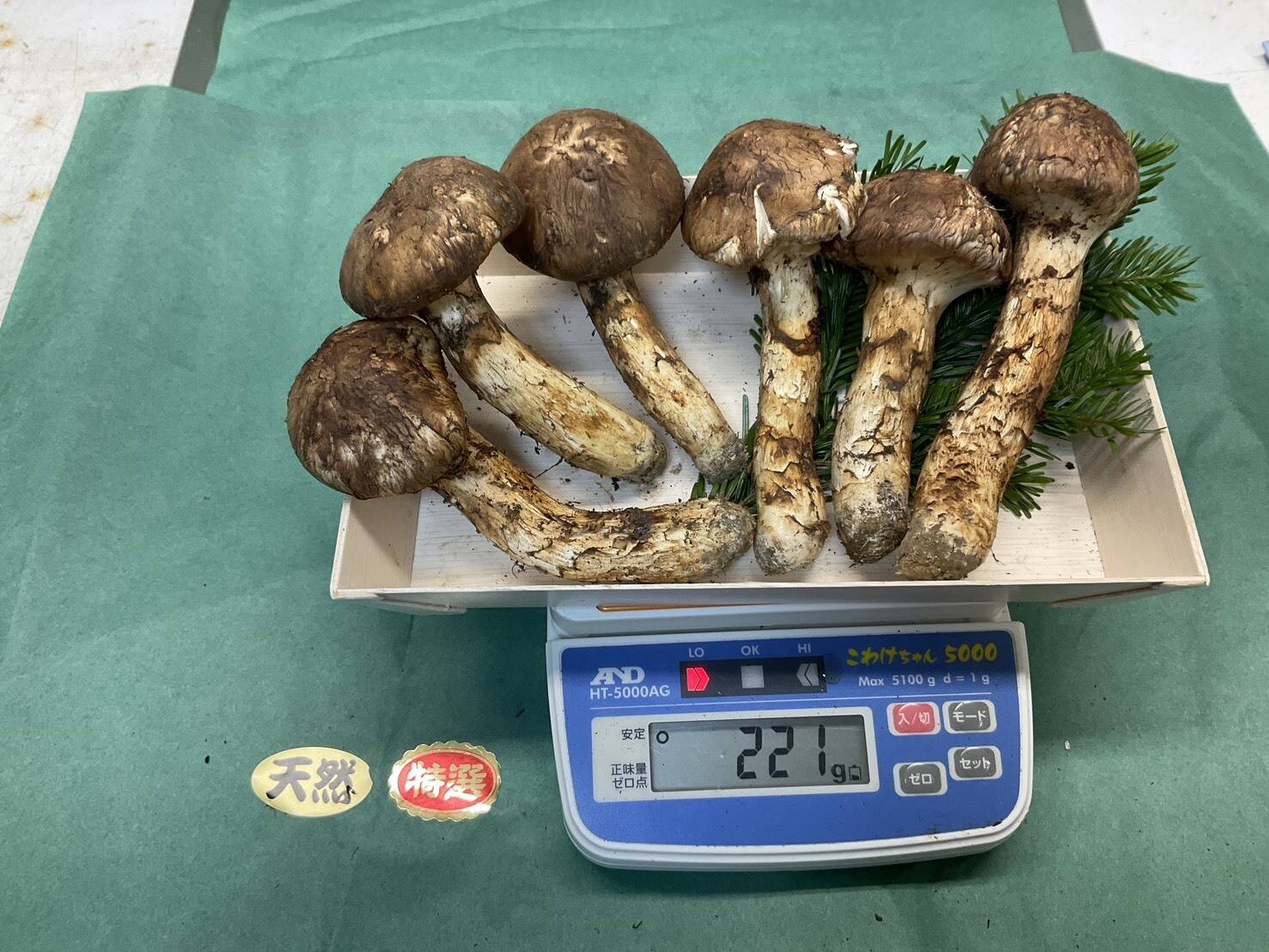 岩手県産松茸221g 【公式通販】