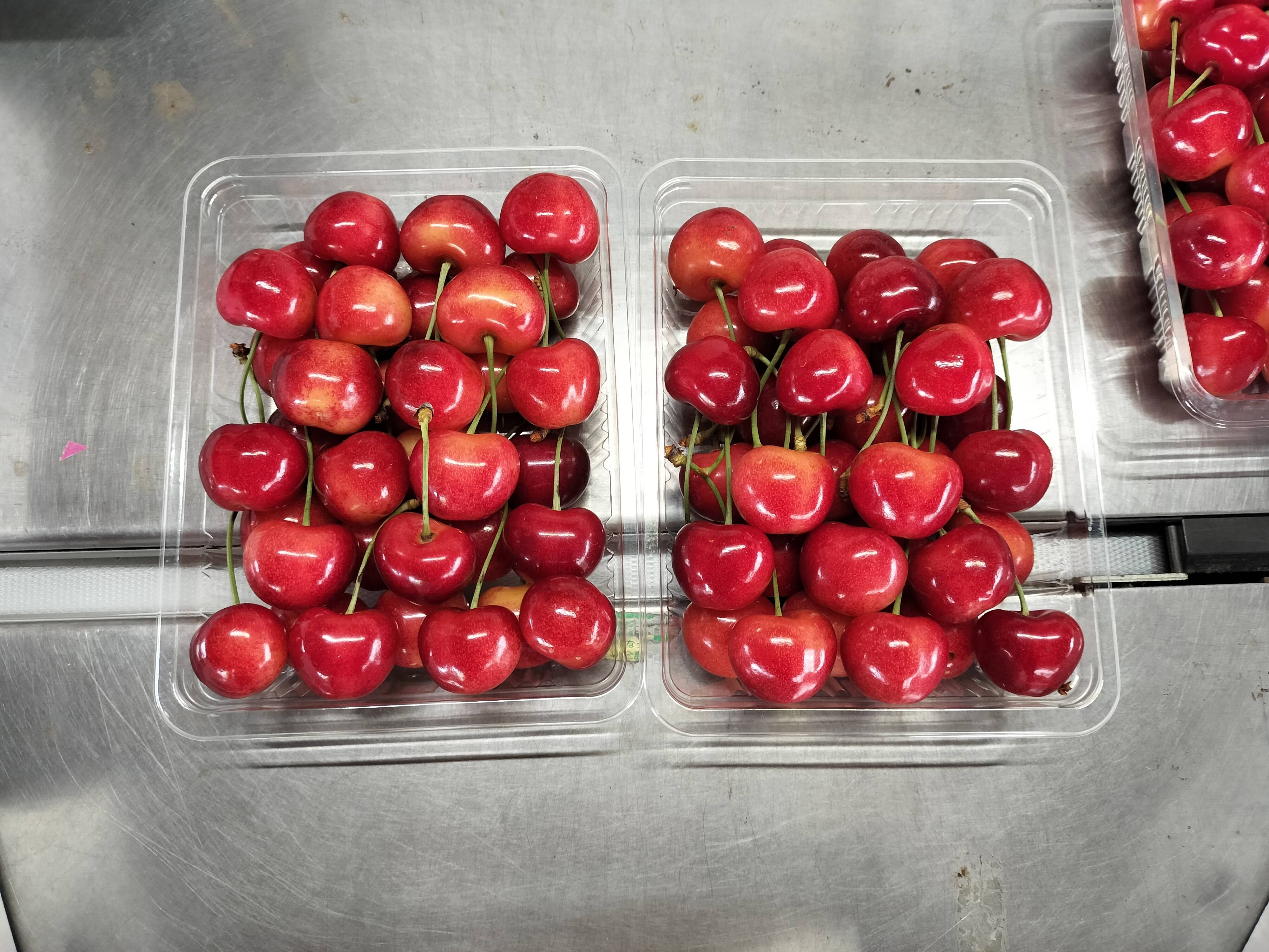 超大玉の新品種🍒〉〈厳選大玉3L～4L玉のみ〉【やまがた紅王】 700g