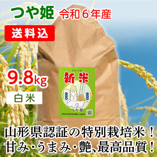 令和6年 大分県産なつほのかお米25キロ㎏（精米後