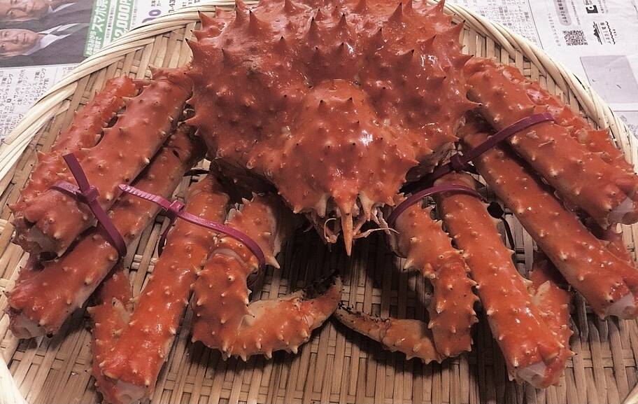 北海道産 タラバガニ 1キロ 北海道産の魚介類 食べチョク 産地直送 産直 お取り寄せ通販 農家 漁師から旬の食材を直送