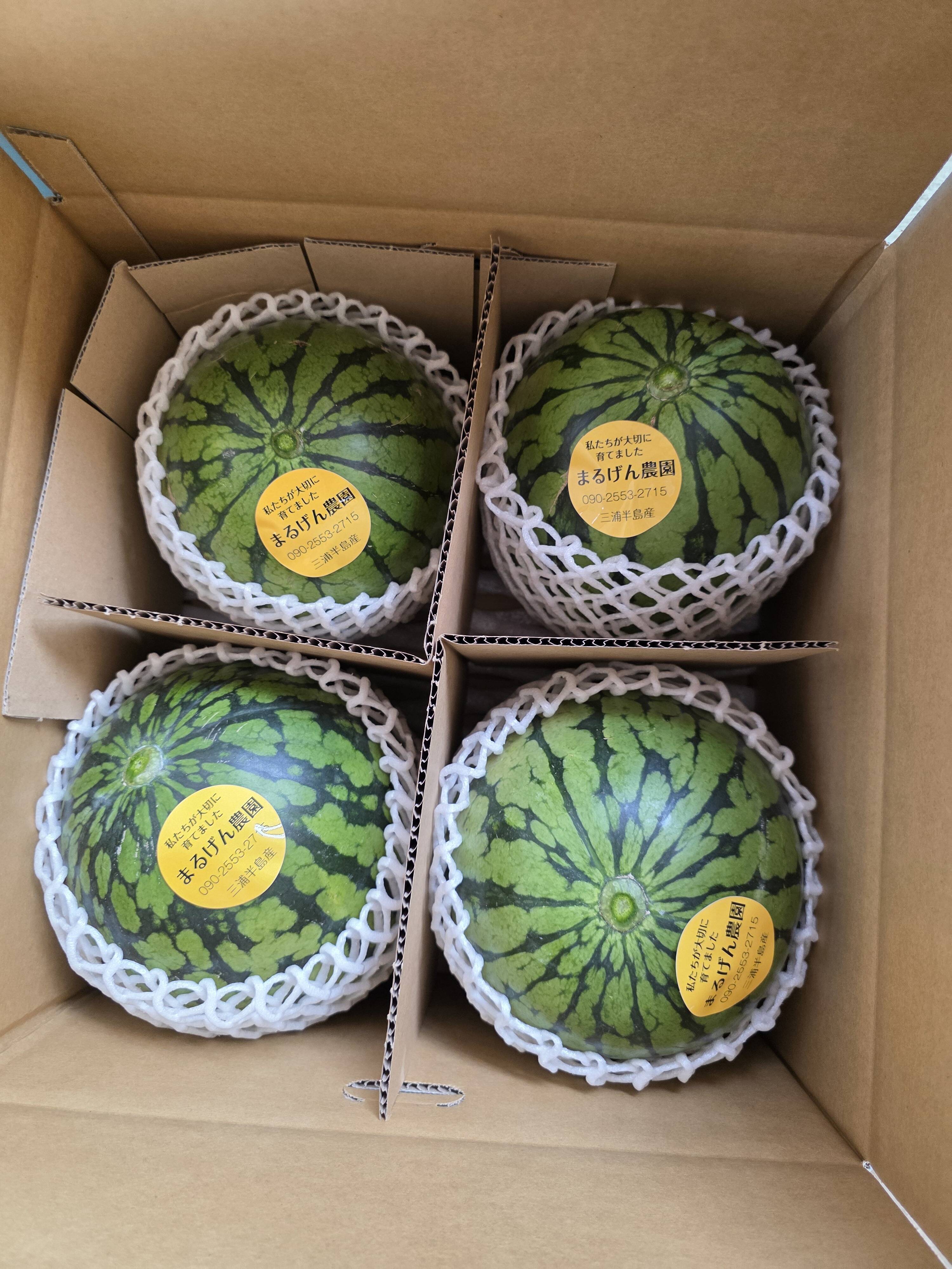 まるブドウ、スイカ 20b7308c9ac8eefa7432fe35d9121a