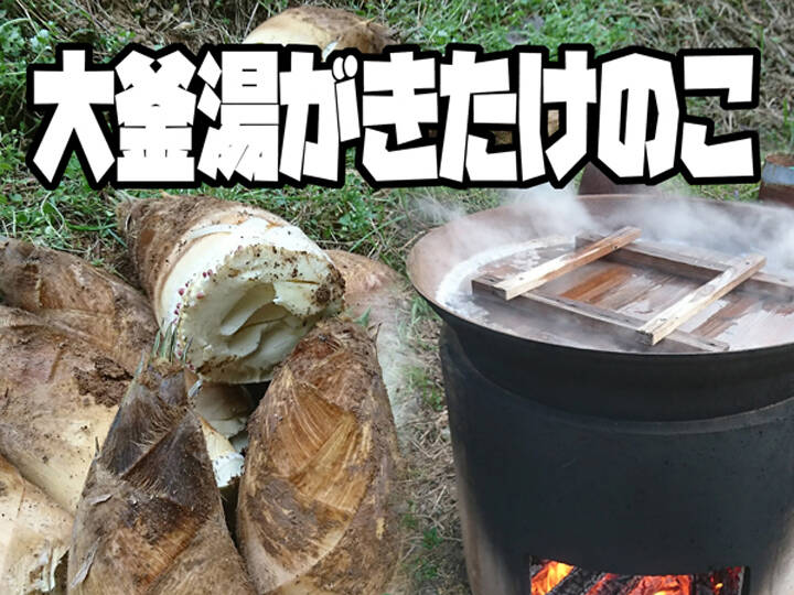 大釜湯がきたけのこ（1.5Kg）：福岡県産の加工品｜食べチョク｜産地