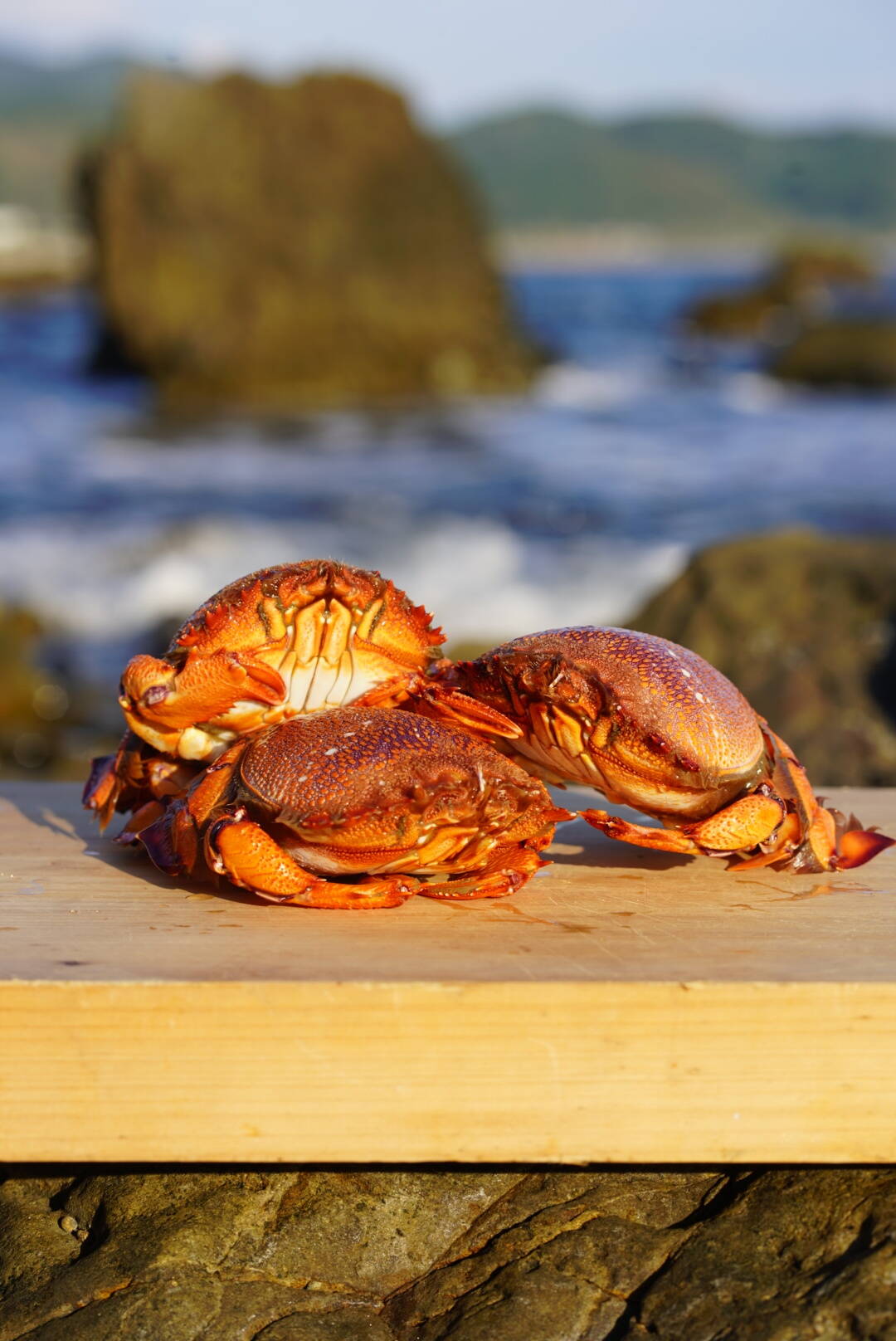 20c3e0512e2755fe8819607b642a07