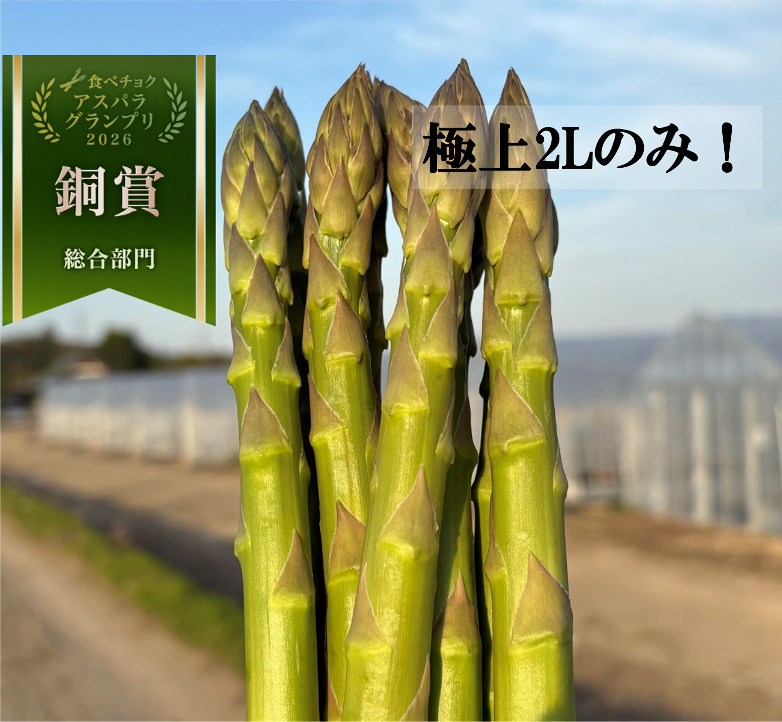 まとめ売り アスパラ様 リクエスト 6点 まとめ商品