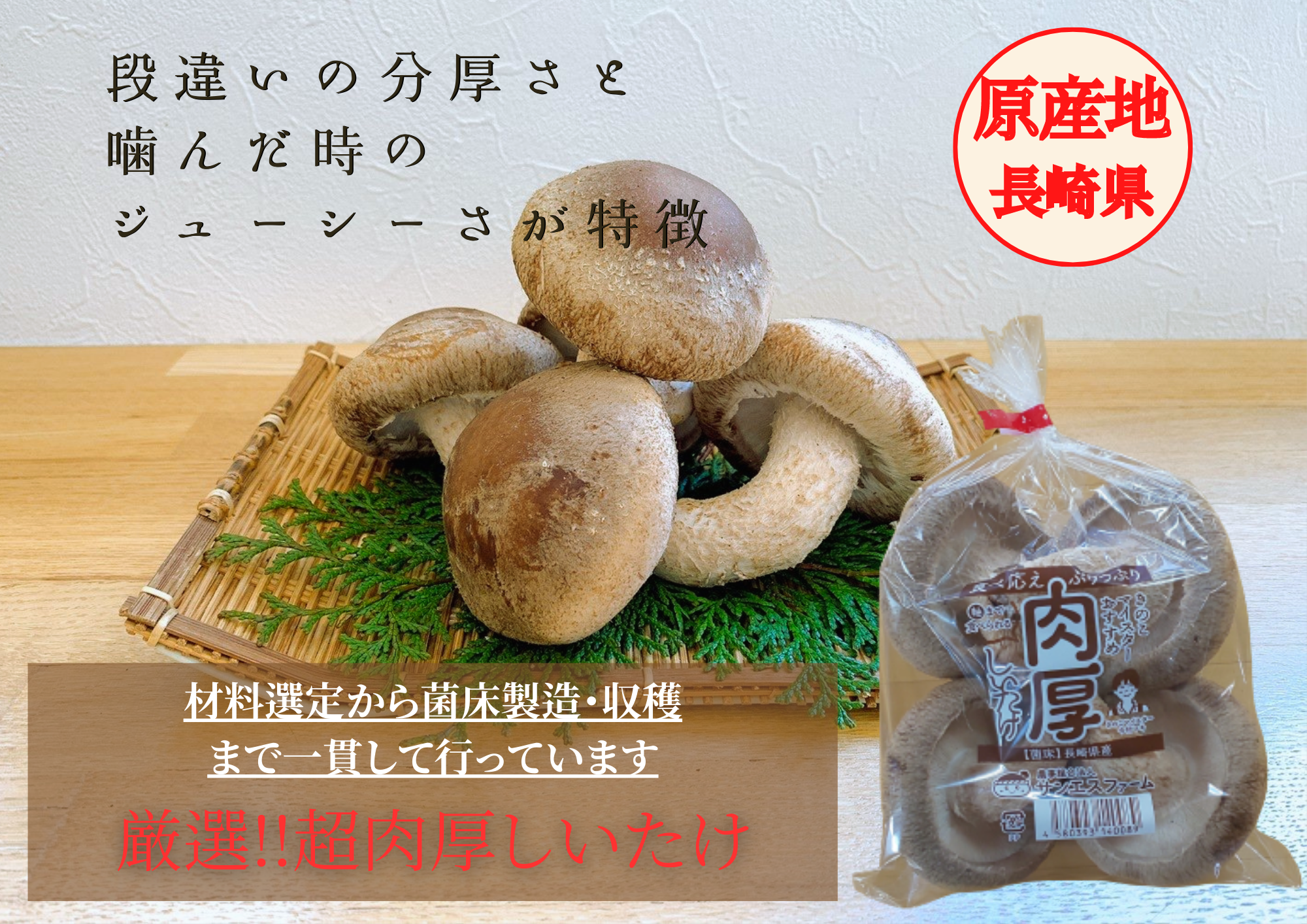 しいたけ インパクト大🍄厳選!!超肉厚生しいたけ(2袋セット)：長崎県産の野菜