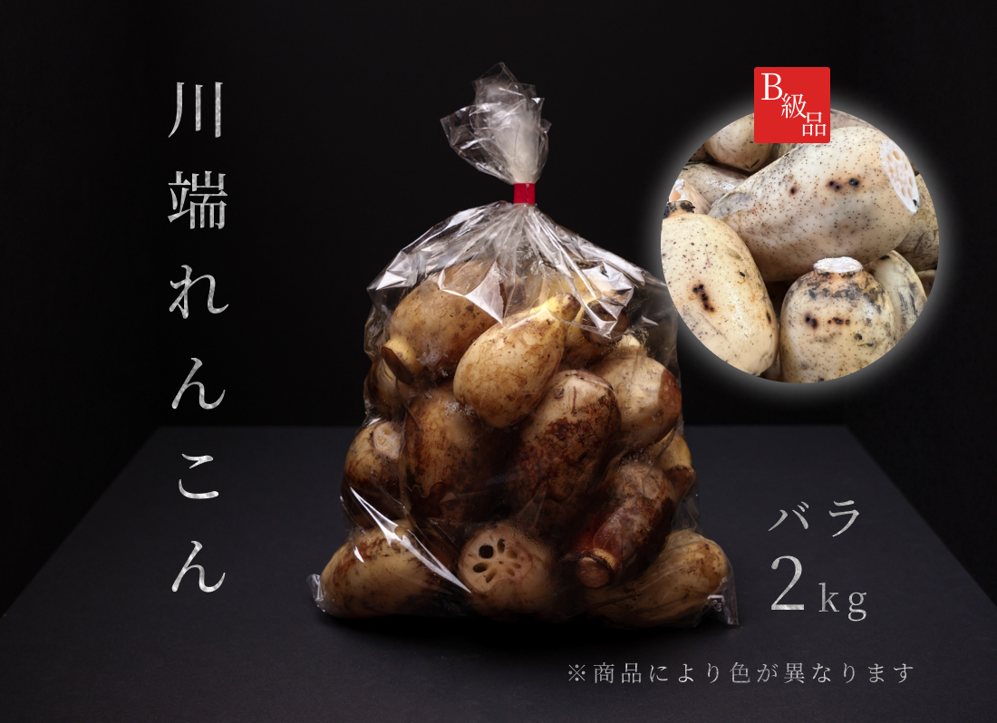 れんこん様 リクエスト 2点 まとめ商品 【公式通販】