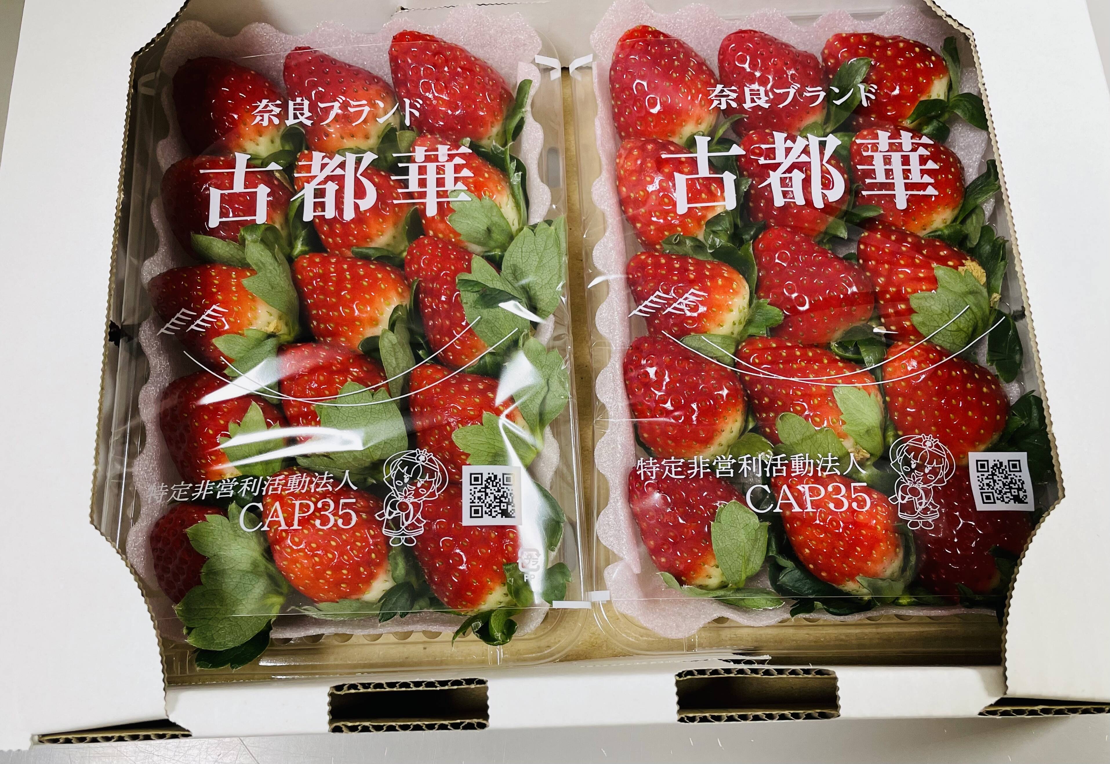 冷凍いちご『奈良県産　古都華』１㎏　農家直送