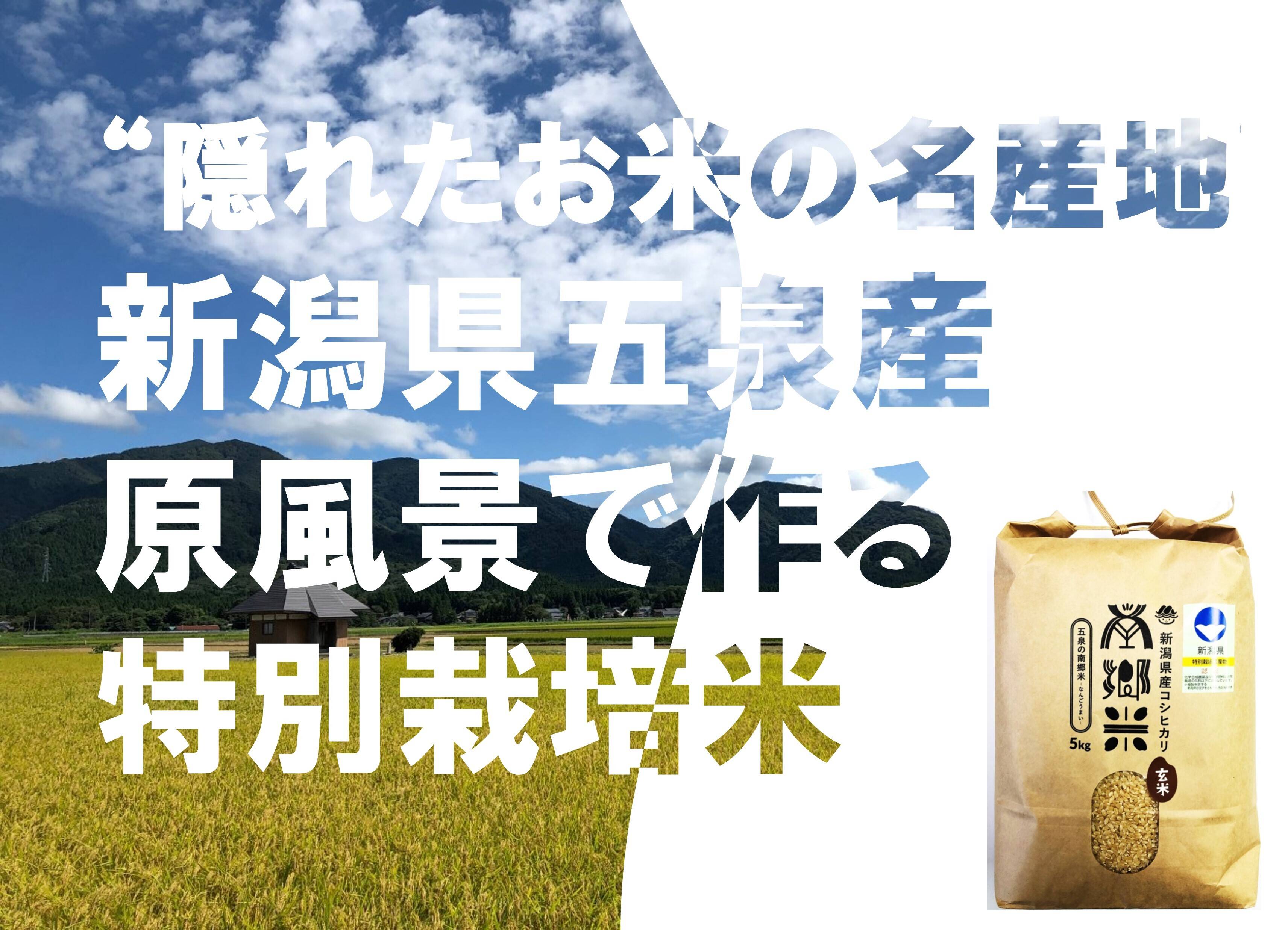 ＊特別栽培米【R5年産】''隠れたお米の名産地''新潟県五泉産コシヒカリ100%「南郷米」玄米20kg