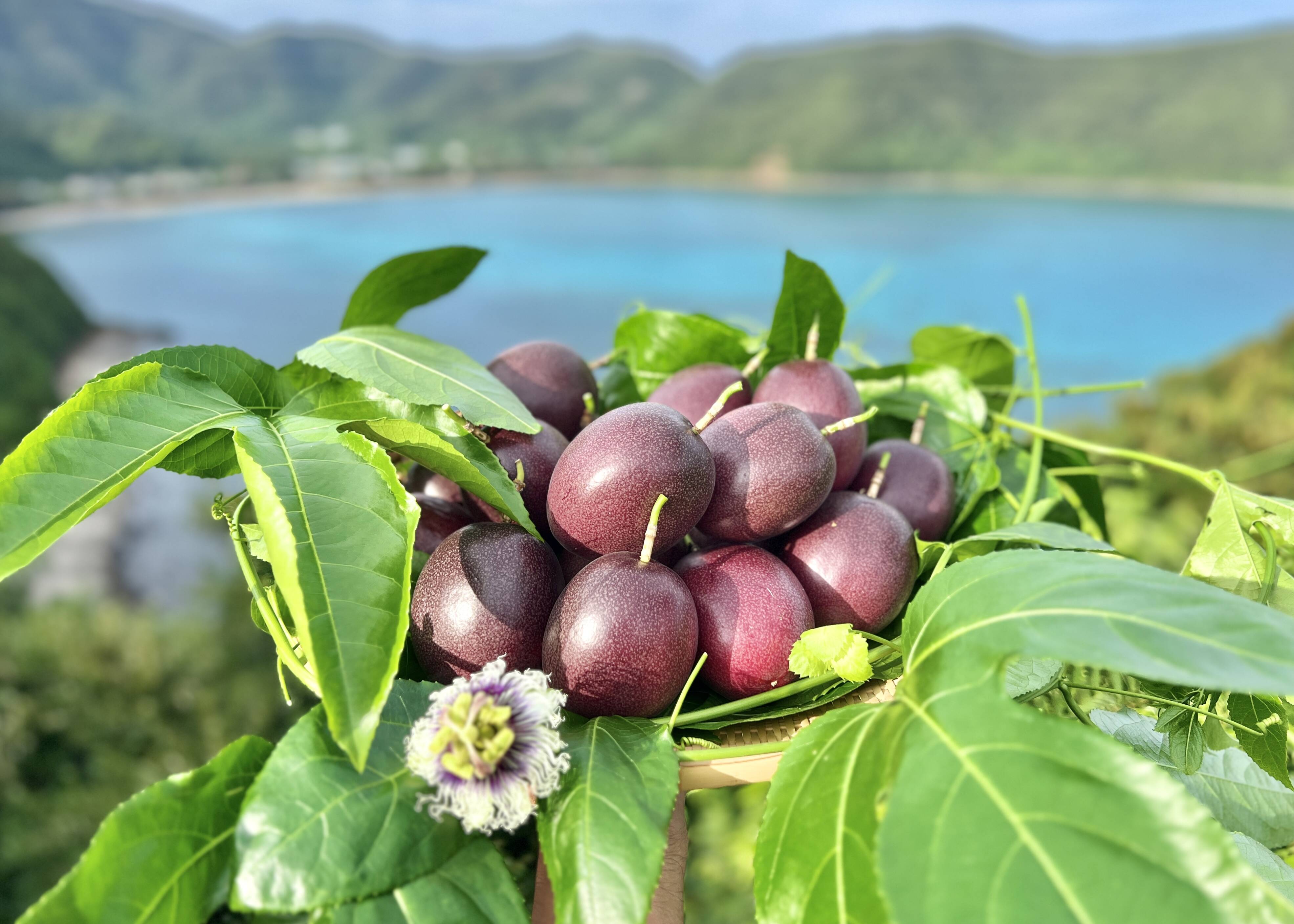 213ac8f82d413df42054b5a3c0a938