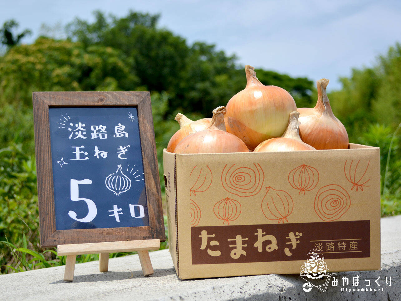 淡路島産たまねぎといえばコレ『中生たまねぎターザン』5kg：兵庫県産