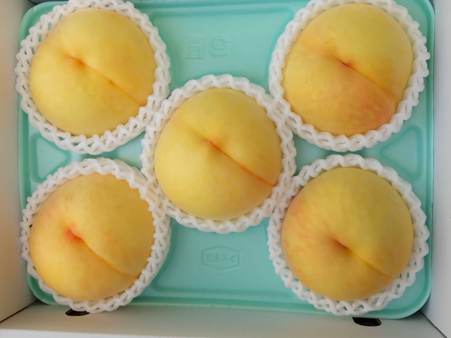 あら川の桃 黄金桃(小箱 5～7玉)：和歌山県産の黄桃｜食べチョク｜産地直送(産直)お取り寄せ通販 農家・漁師から旬の食材を直送