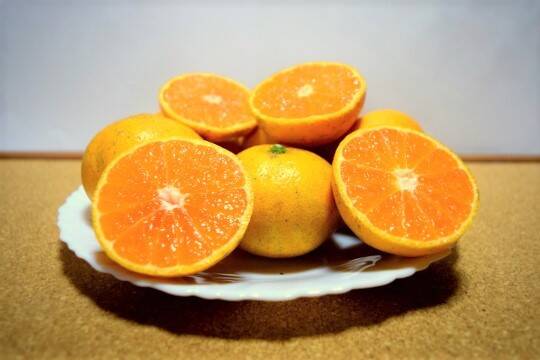 みかん 木成り完熟濃厚みかん】ぶさいくミカン BUSAIKU MIKAN 7kg