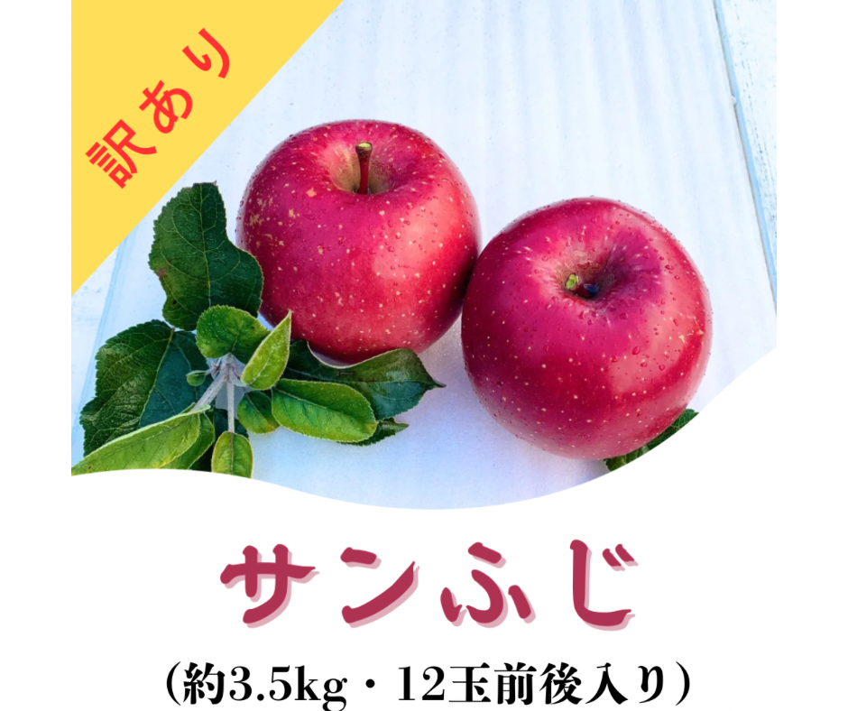 よさんページ　サンふじ　訳あり　農家直送 りんご 山形 完熟 サンふじ 約 5kg 12-23玉 家庭用 訳あり 蜜入り し