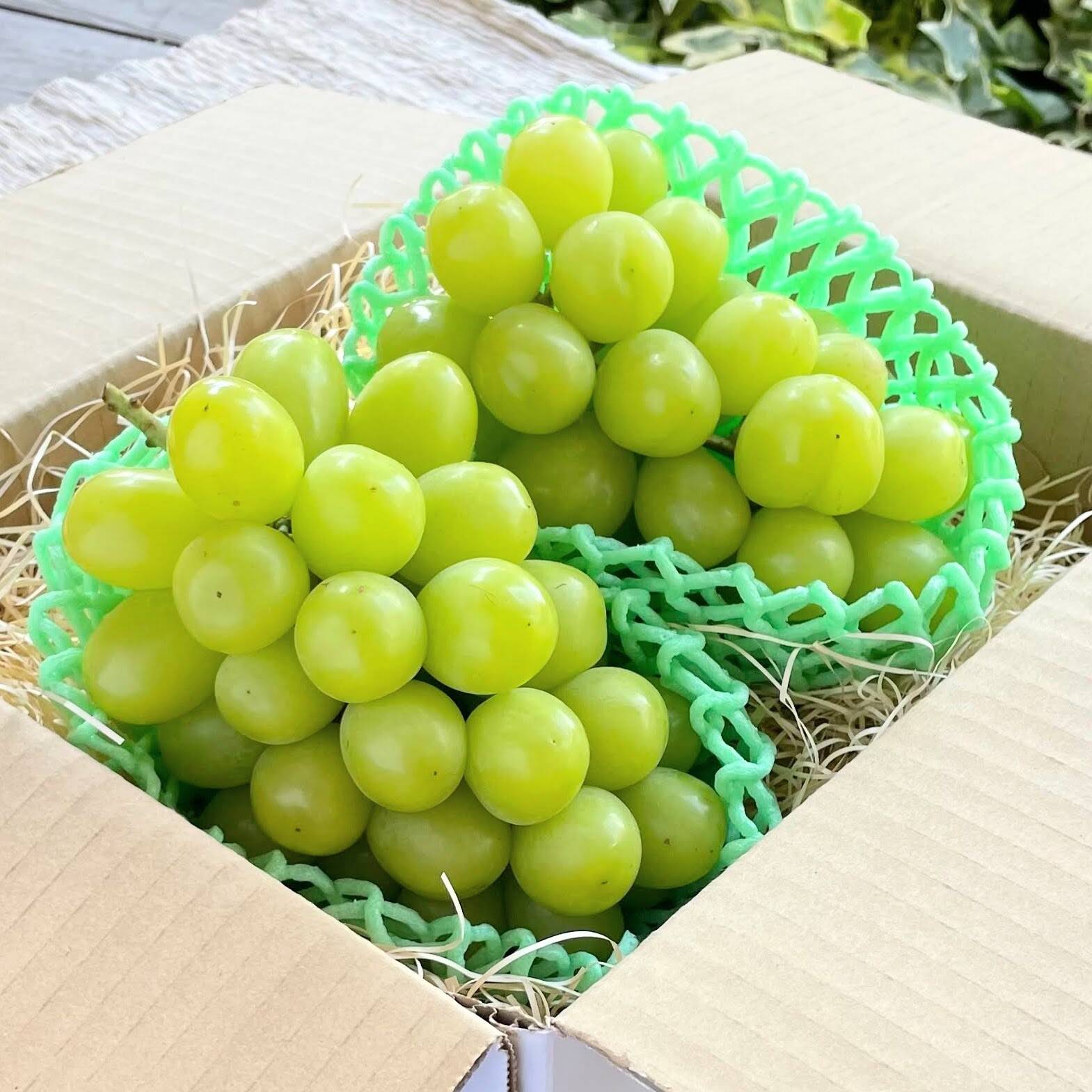 クール便】信州松本平 大きめ完熟シャインマスカット2kg以上：長野県産