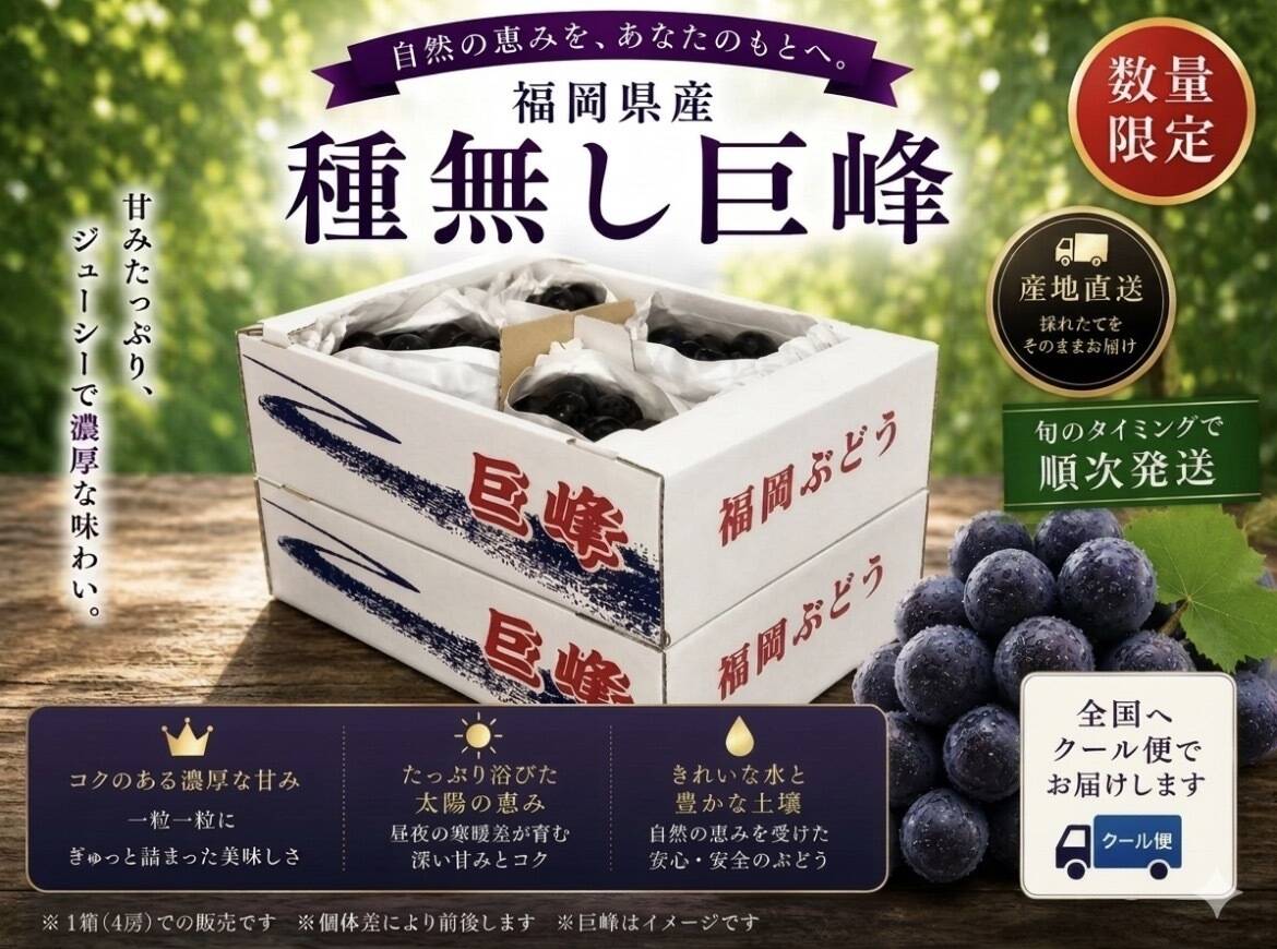 先行予約受付中】旬の高級ぶどう/種無し巨峰：福岡県産の巨峰｜食べ