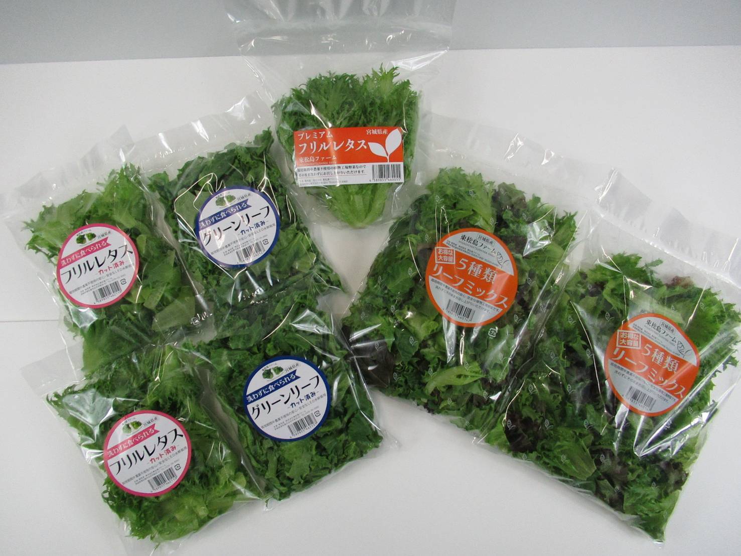 レタスさん専用皿 COSTA NOVA オーバルプラター｜RIVIERA ヴェールフレ – bêtises(べ