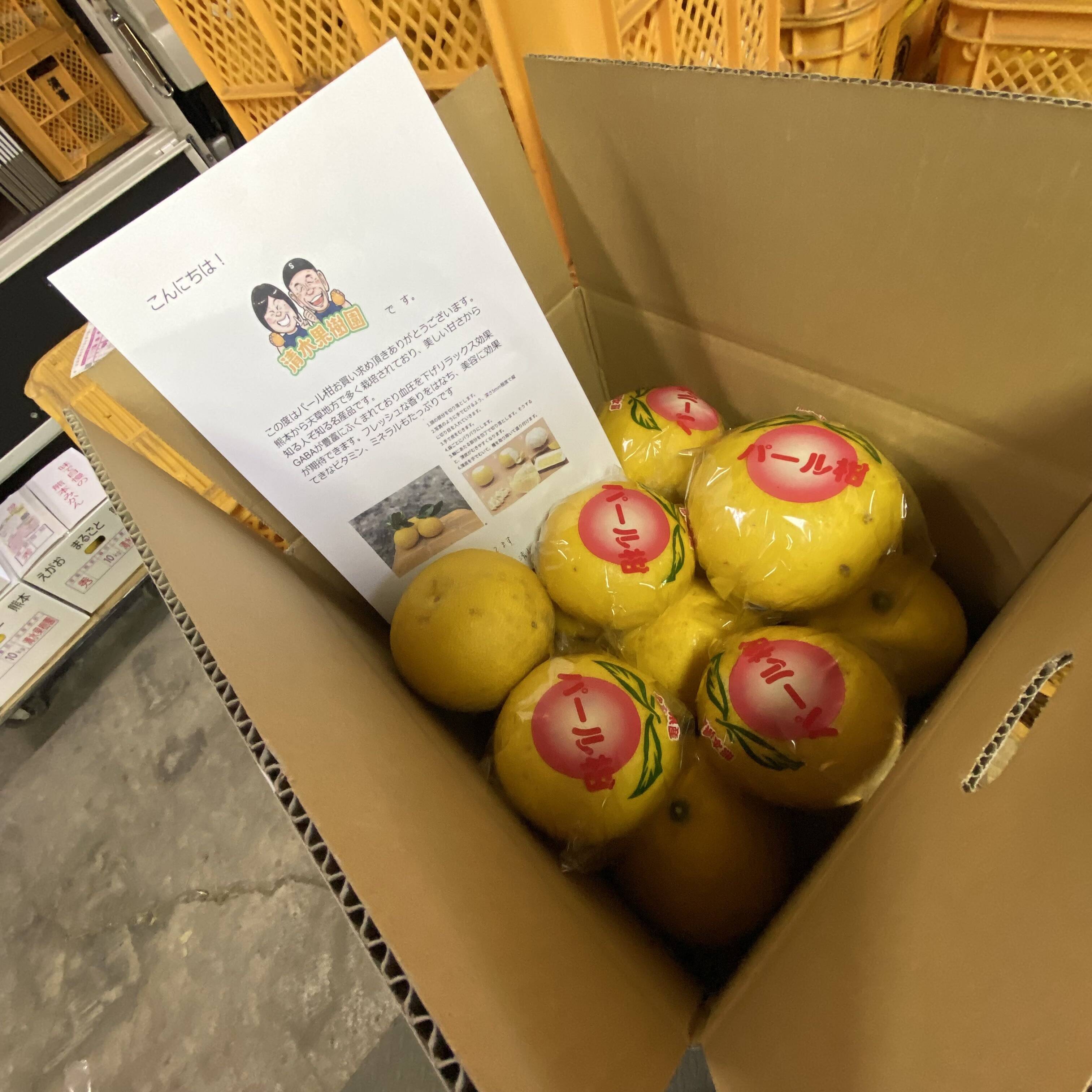 熊本県産 パール柑 家庭用 箱込み 20キロ パール柑 熊本産 訳あり 20kg ［10kg×2箱］ 送料無料 九州 熊本