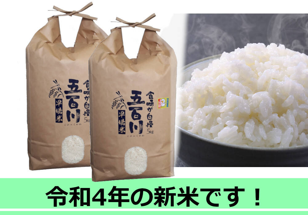 美味しいお米 令和4年 埼玉県産 コシヒカリ 白米 10kg 送料無料