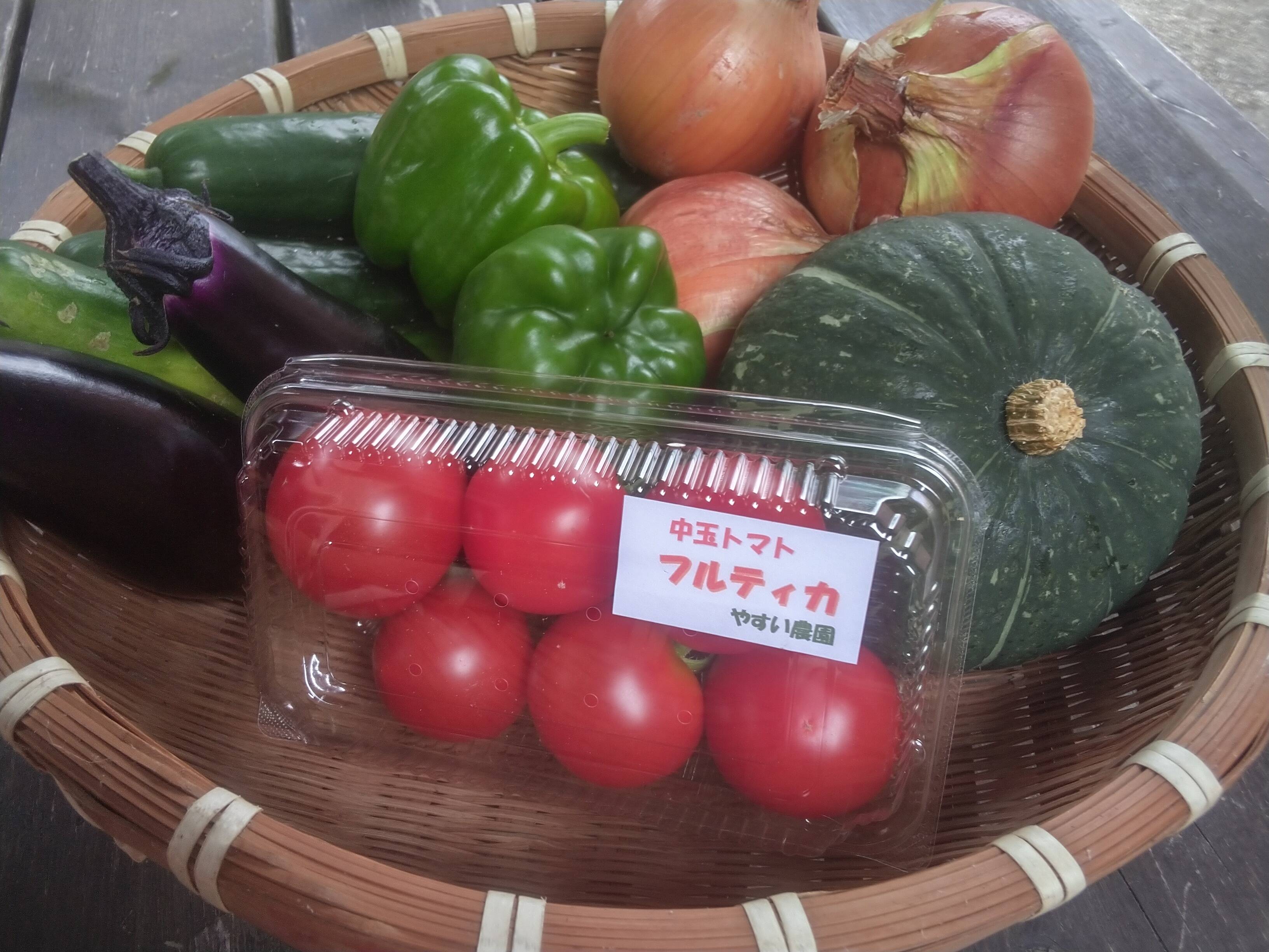 信託 千葉県産 無農薬白瓜3本 Takakoh Co Jp