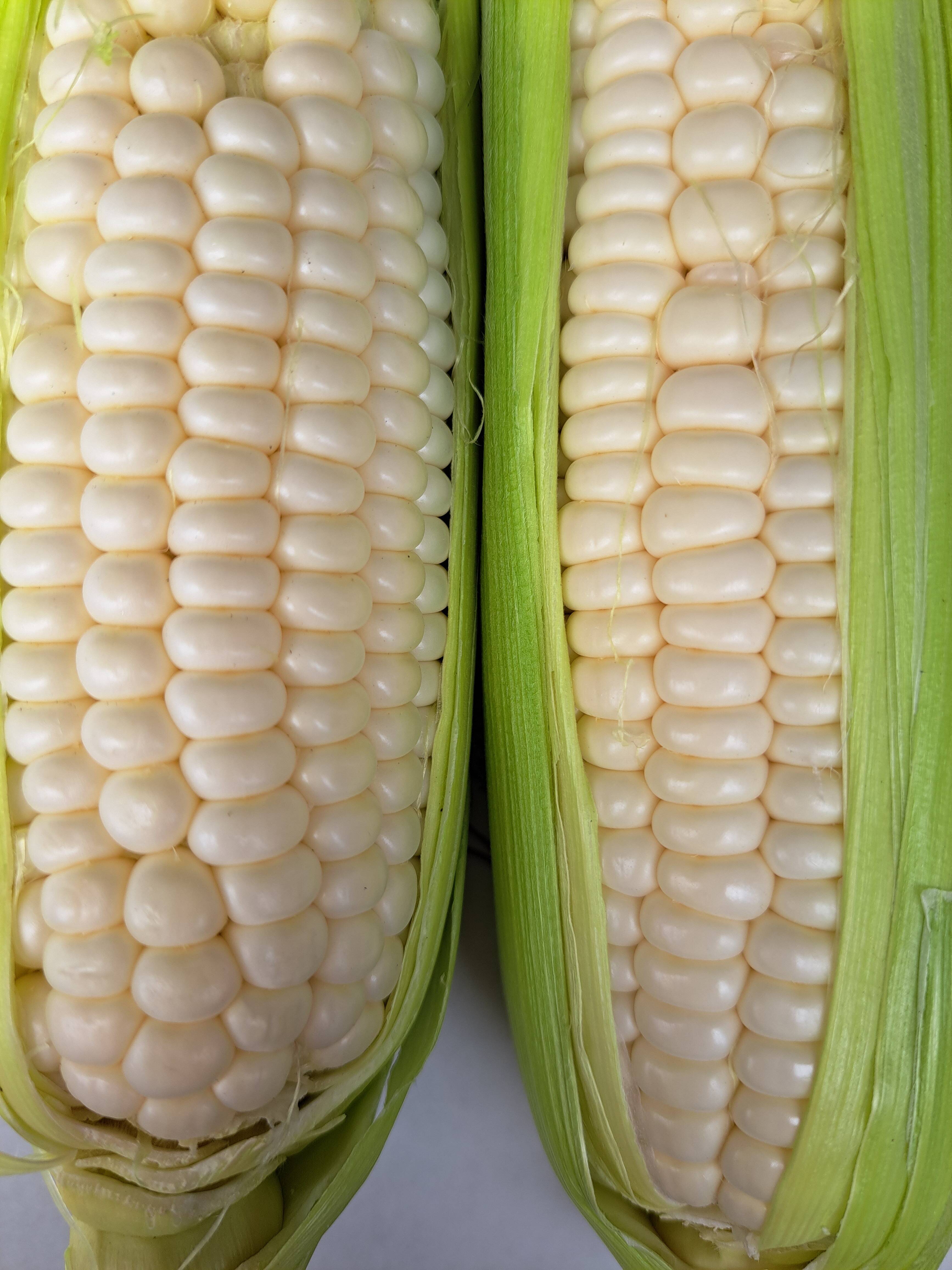 ホイップコーン⭐20本訳あり品：福岡県産の野菜｜食べチョク｜産地直送