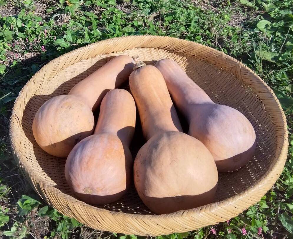 2279f4d77ff4469aef2c384e888877