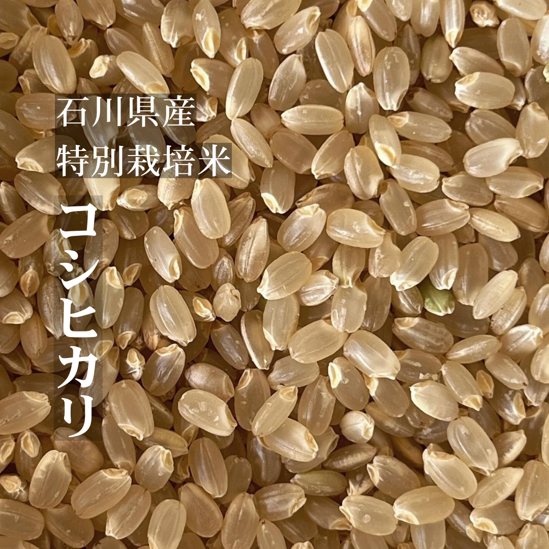 令和6年産／特別栽培コシヒカリ／くず米／鳥のエサ／20kg／希望数量対応可 令和6年産☆特別栽培米☆鳥取県産コシヒカリ／JA鳥取西部【5kg