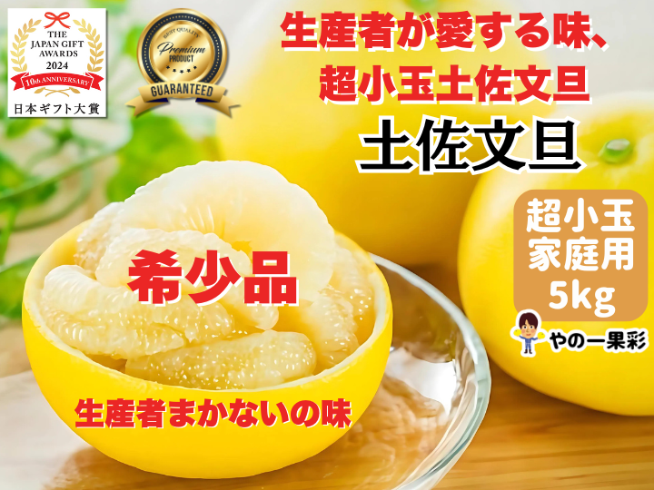 匿名さん　土佐文旦小玉ミックス20キロ 高知県産 土佐文旦 家庭用小玉サイズ約10kg | 高知県土佐市 | ふるさと