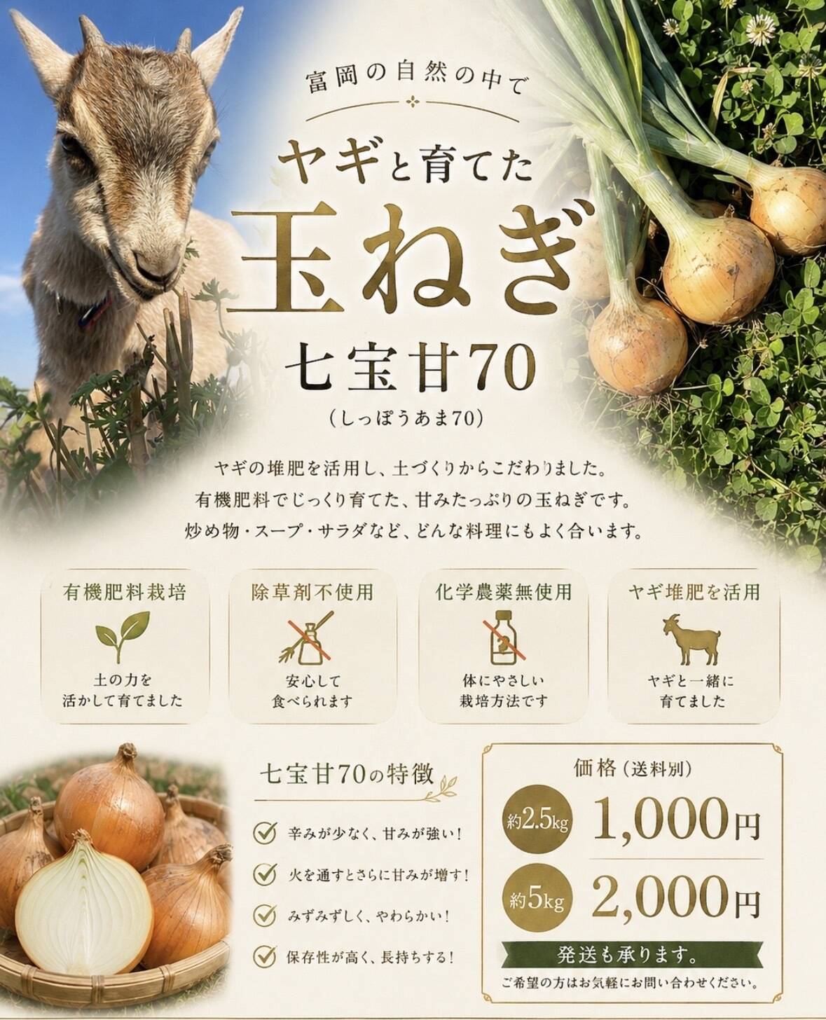 甘〜い 糖度11度 玉ねぎ 七宝甘70群馬県産 有機肥料栽培 化学農薬