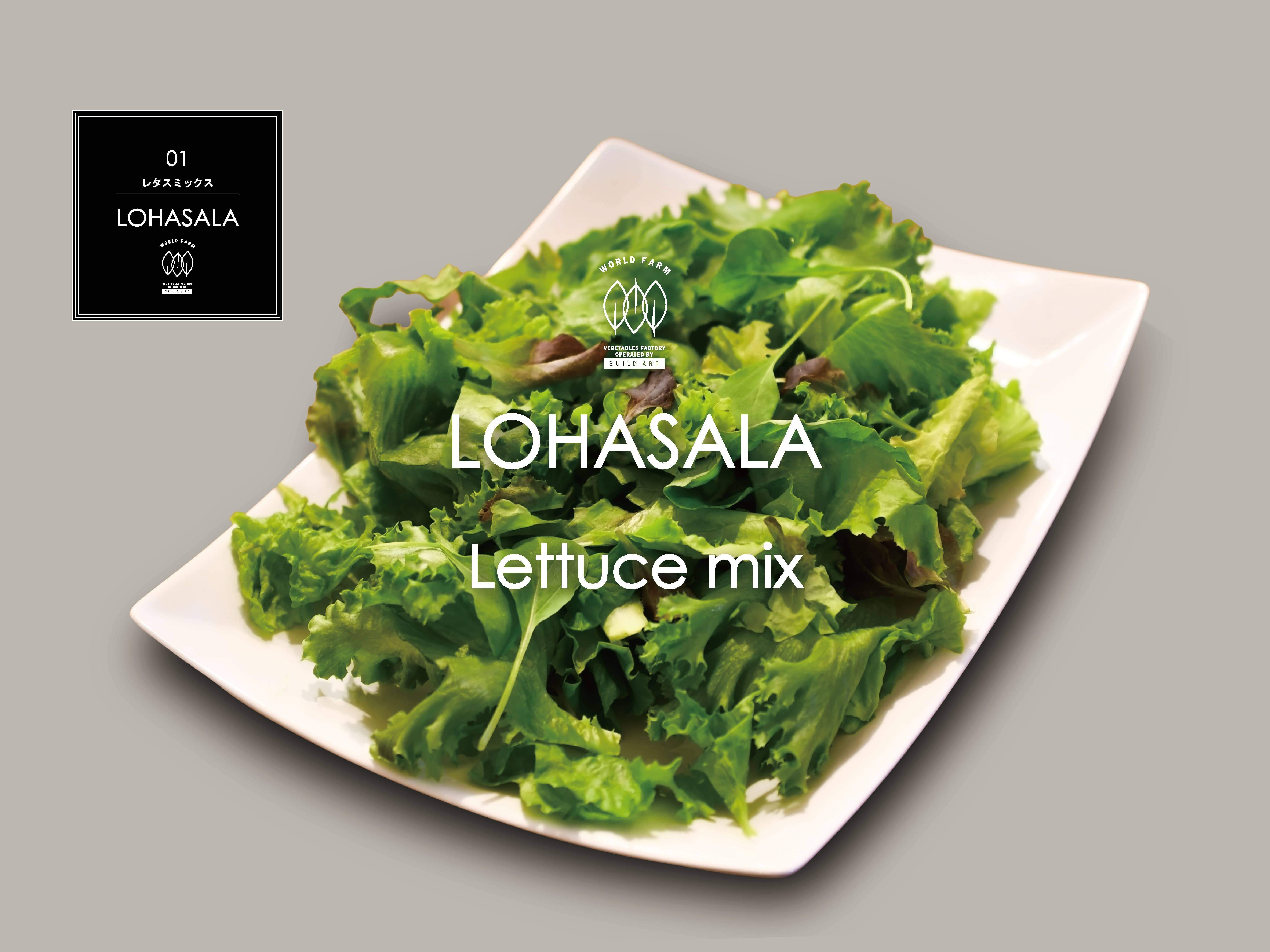 レビュー50件以上 菌数管理栽培野菜 Lohasala レタスミックス 10個セット 小分け100g 洗わずに食べられる魅力満載のサスティナブル新野菜 Led施設栽培野菜 神奈川県産 食べチョク 農家 漁師の産直ネット通販 旬の食材を生産者直送