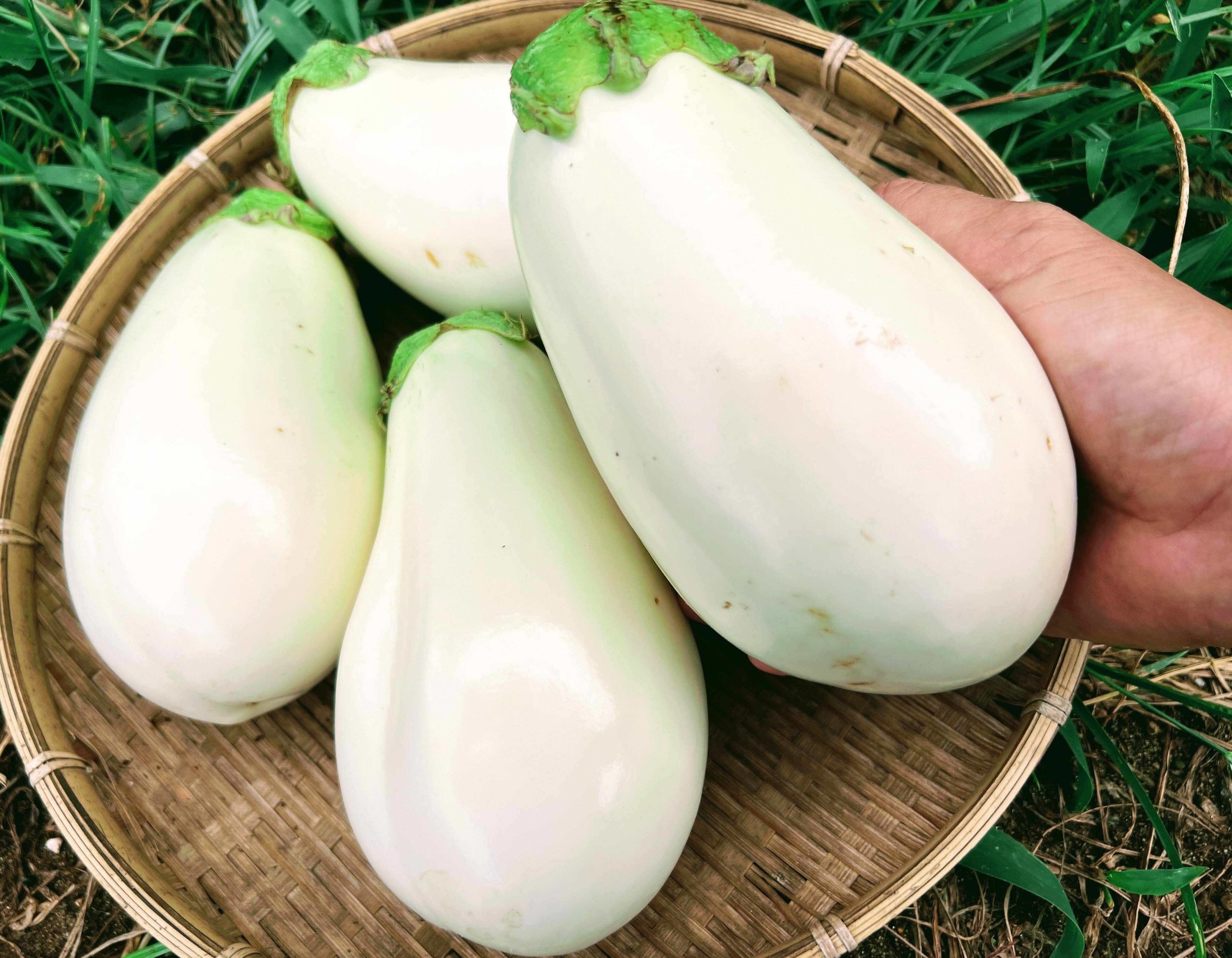 22b601766b79ab0ed8f92c0077f708