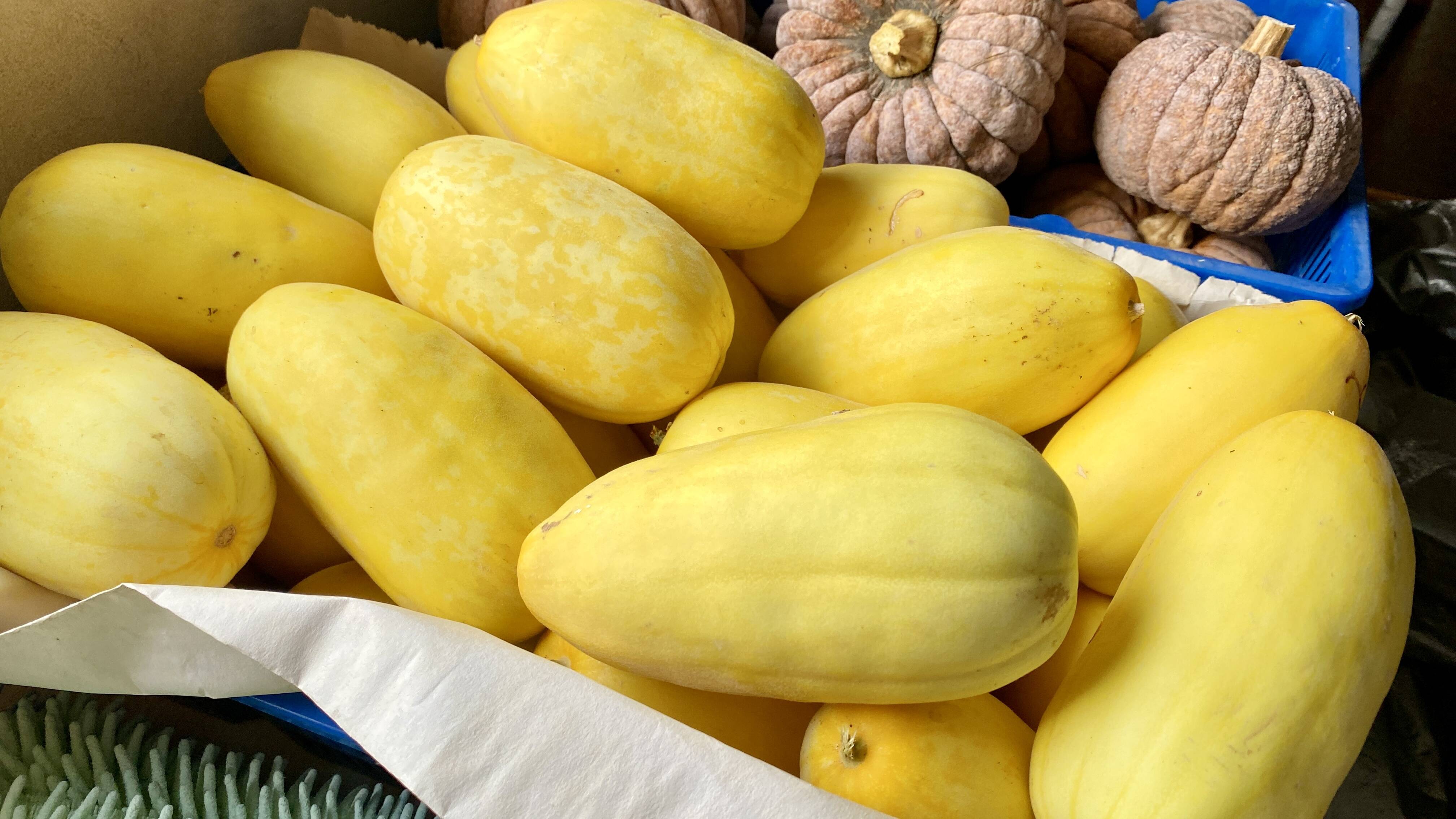 22e3a883e9c9cd4d9fa5f997f23396