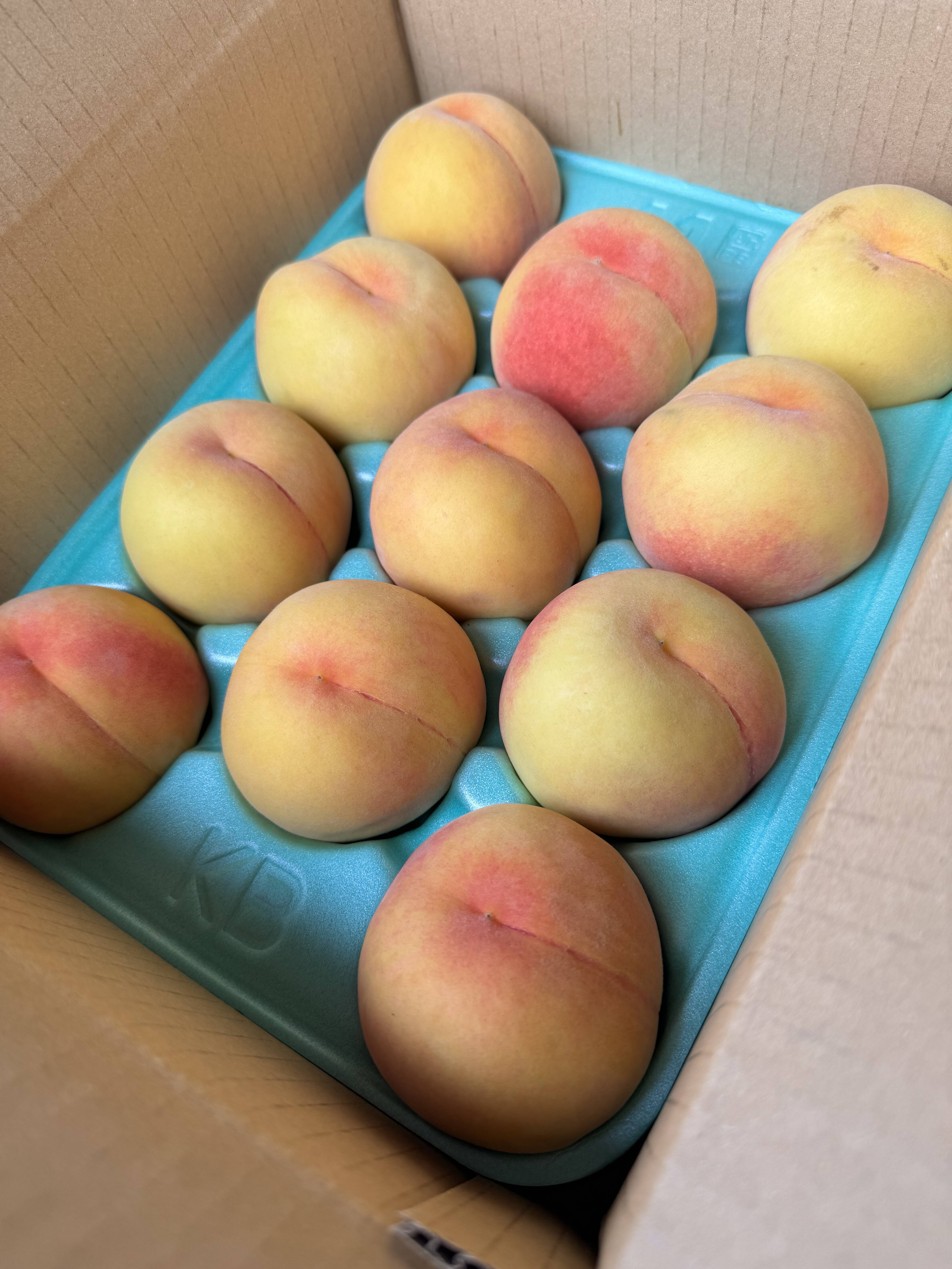 小ぶりマンゴーピーチ つきあかりA品 約2kg：長野県産の黄桃｜食べ