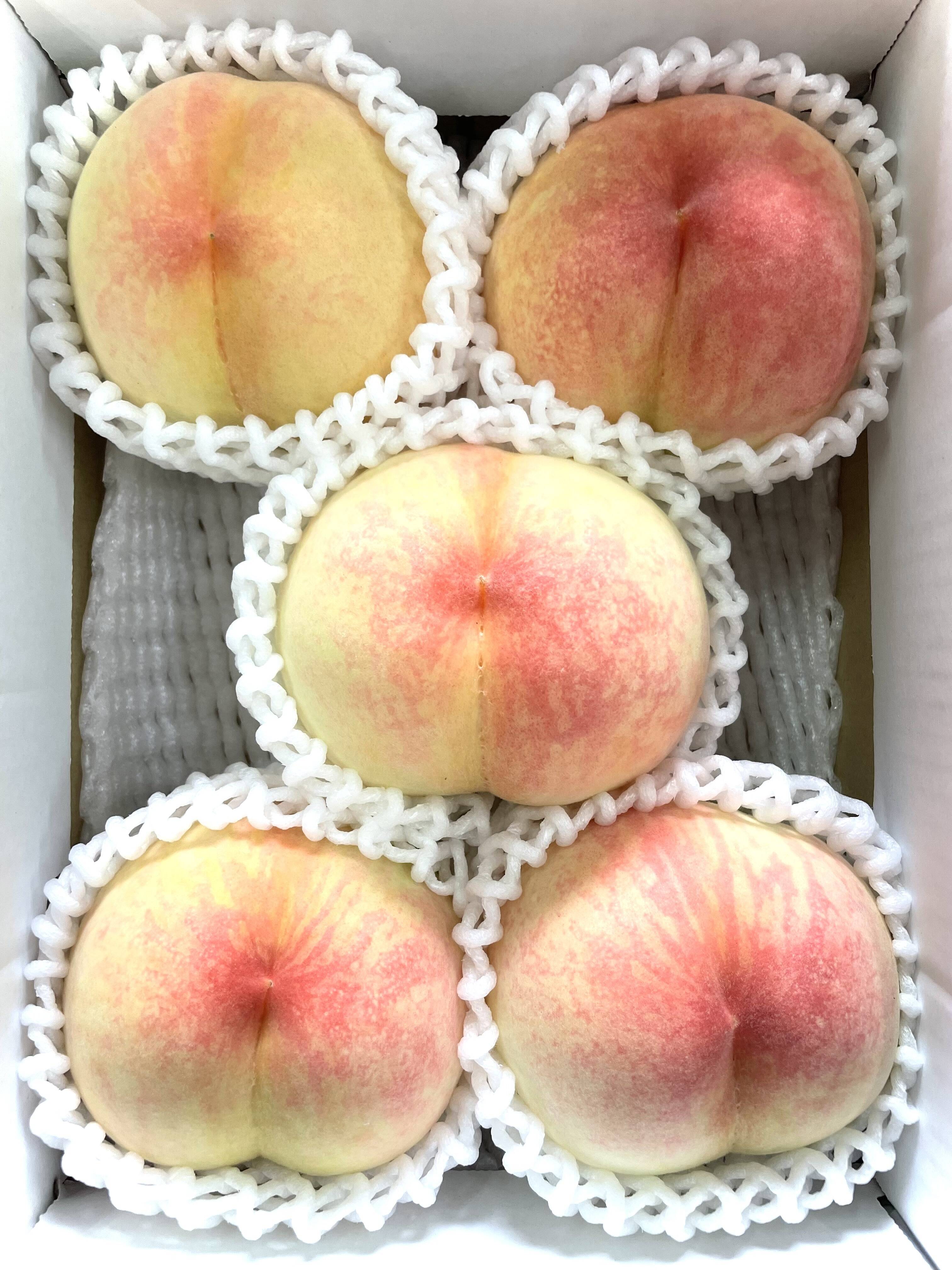 家庭用】白鳳🍑小箱【4～7玉】：岡山県産の白桃｜食べチョク｜産地