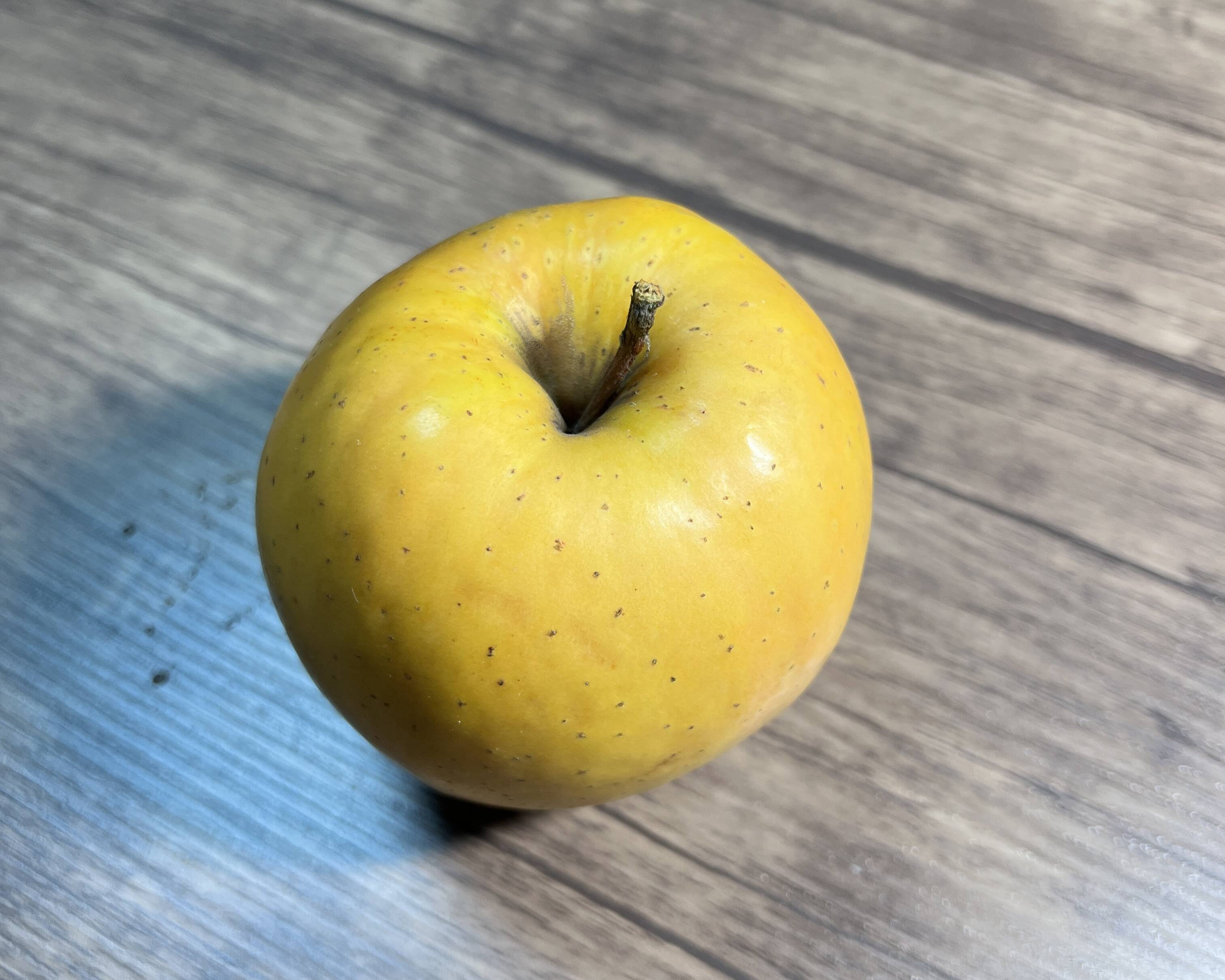 幻の林檎】NEWすっぱい系！ なかののきらめき 5キロ箱 訳あり品 11～28