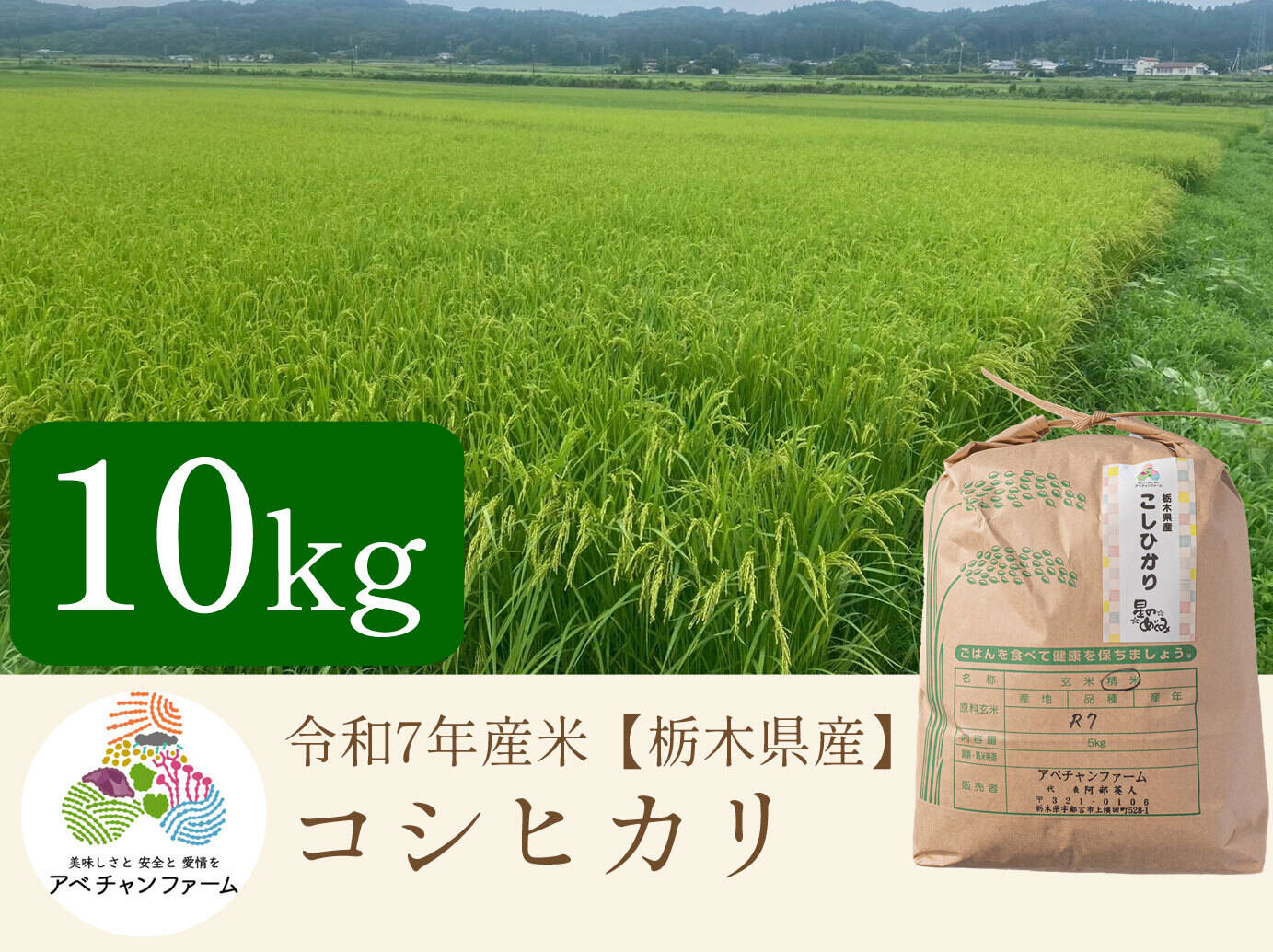 令和7年　栃木県産 コシヒカリ 10kg精米 令和7年産米】コシヒカリ(10kg)白米｜｜栃木県産米｜上品な甘みともっ