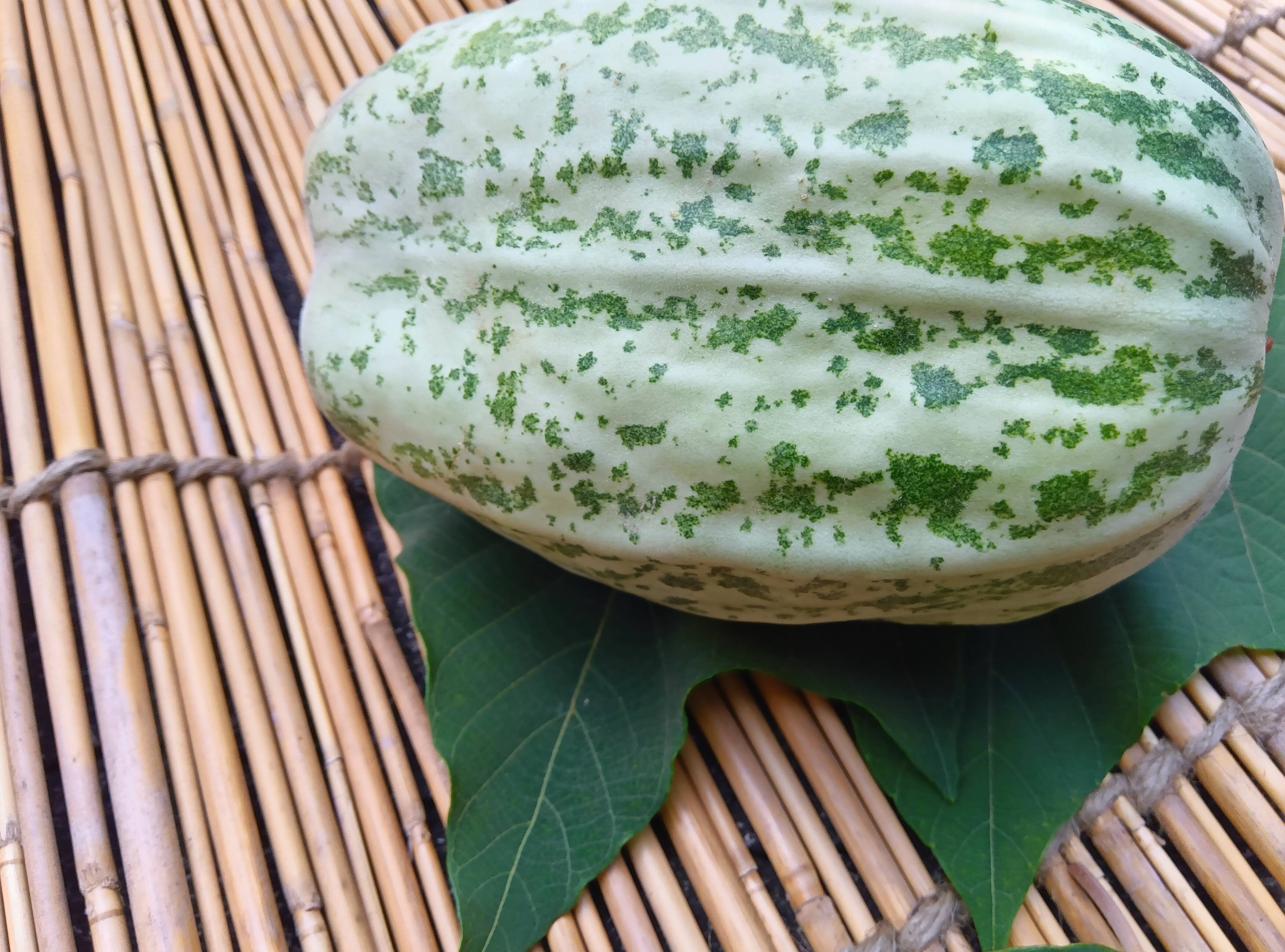 ごとうり 肥料農薬不使用、自家採種【和歌山県在来種】：和歌山県産の野菜｜食べチョク｜産地直送(産直)お取り寄せ通販 農家・漁師から旬の食材を直送