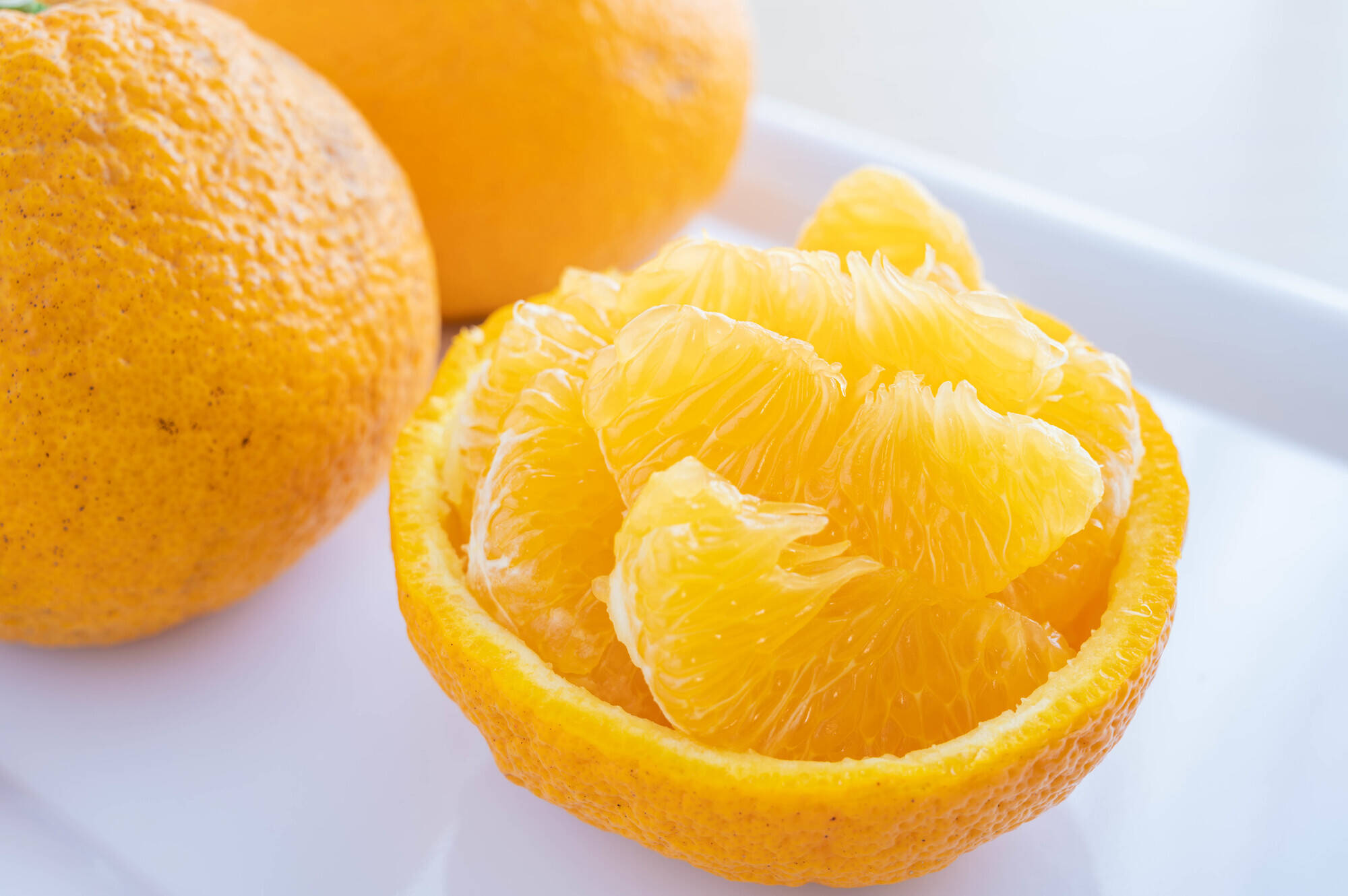 夏みかん大好きばあば 夏みかん4（500ml）単品 | 柚子屋本店ONLINE STORE