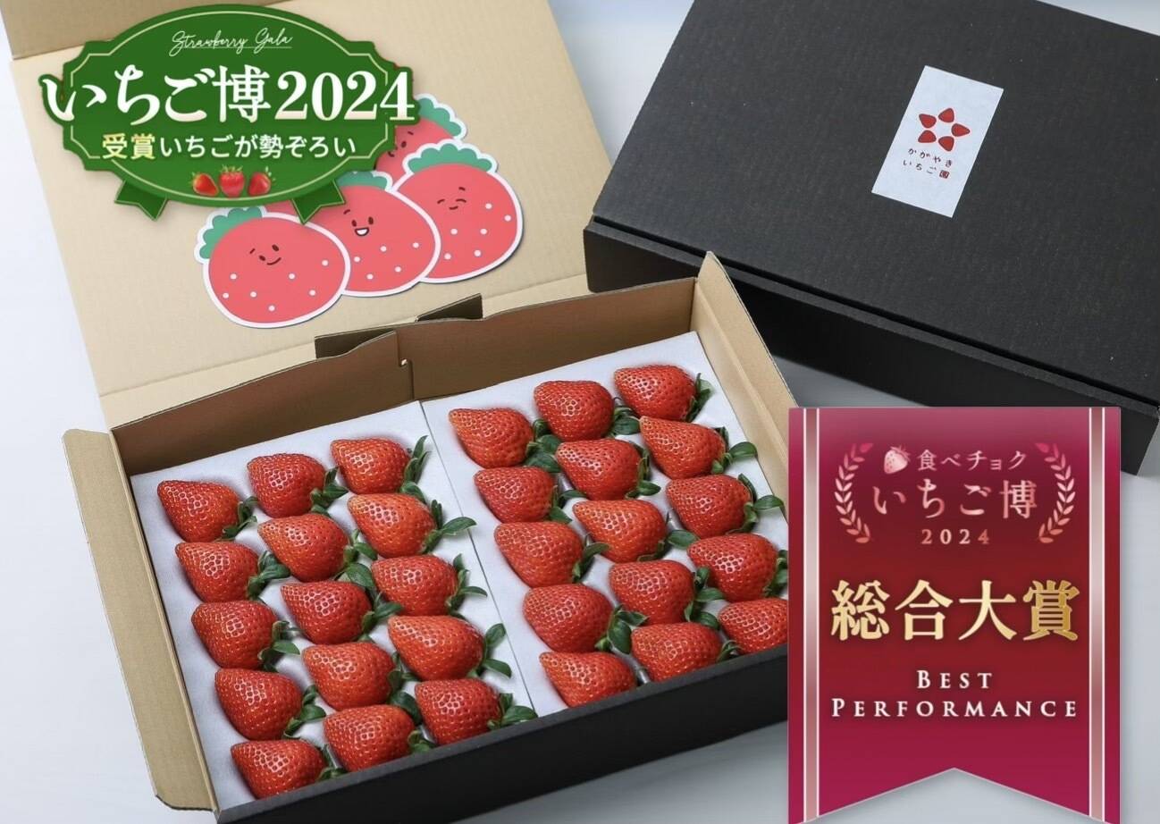 専用ページ やよいひめ苗 100本 いちご博2024総合大賞】新鮮完熟やよい
