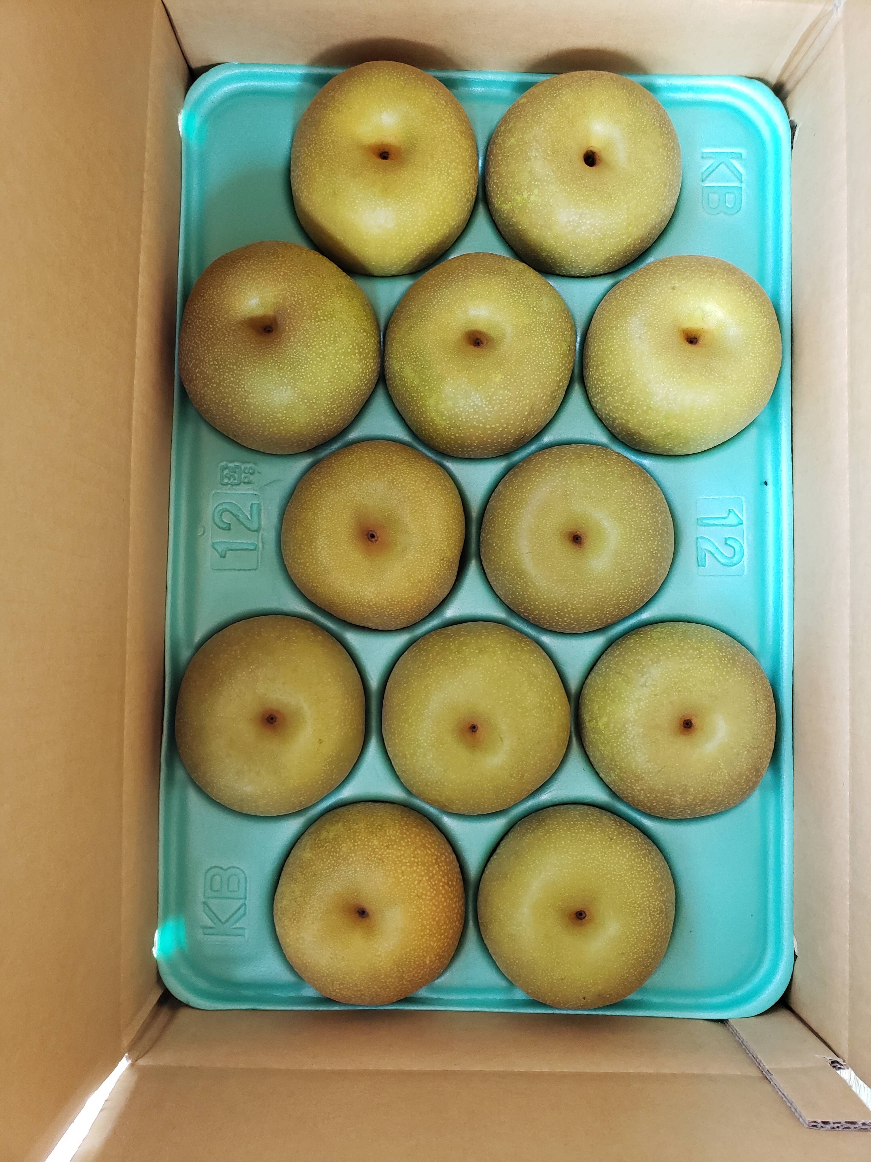 贈答品】梨 幸水 秀品 5Kg箱 大玉（12玉 ~ 14玉) _2026：千葉県産の幸