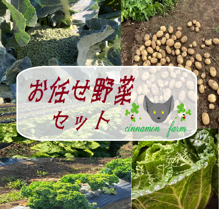旬の野菜！！入ってます(*^^*)野菜セット（3～4種類）：埼玉県産の野菜