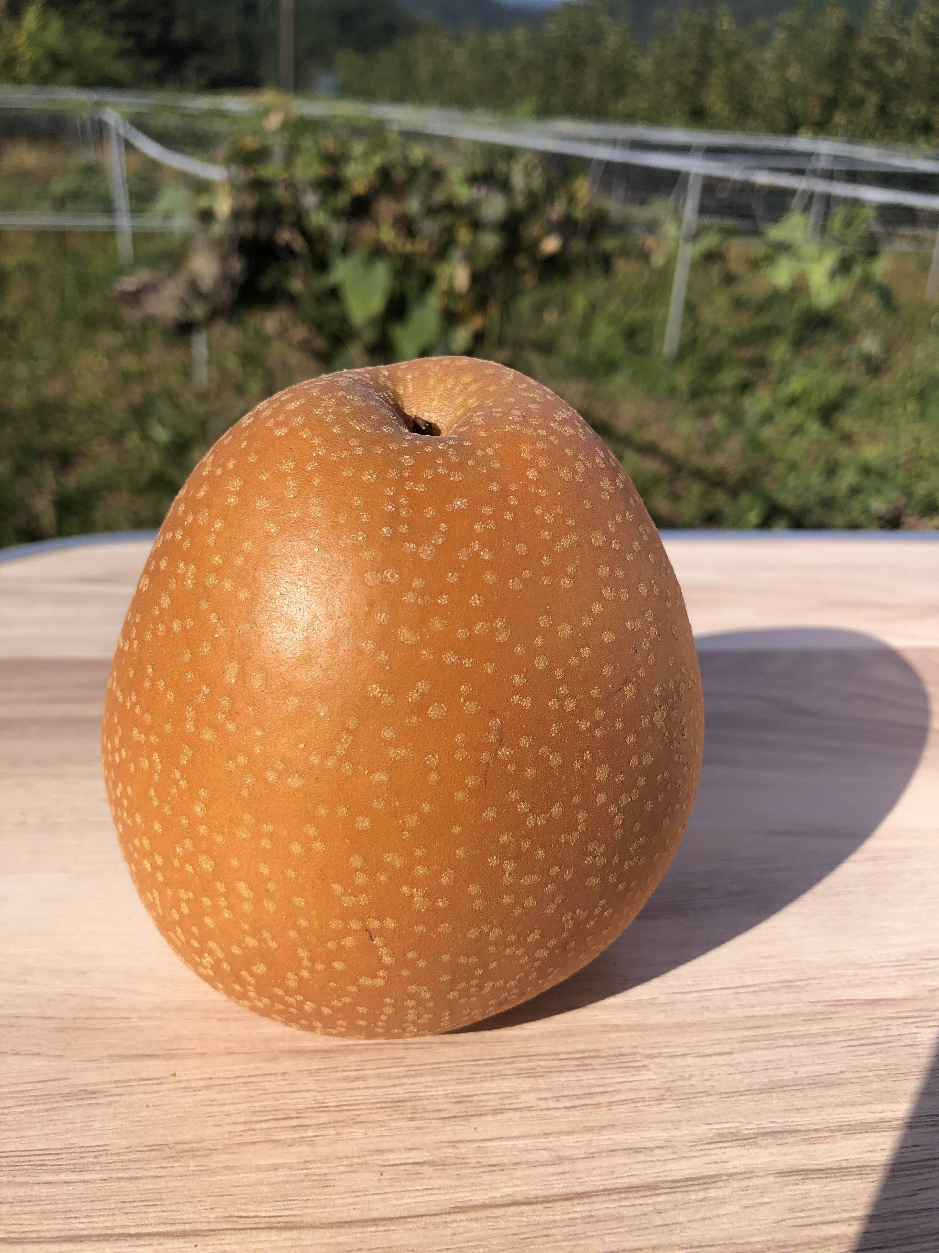 23a0d2bd38e81672365f29f7661cb7