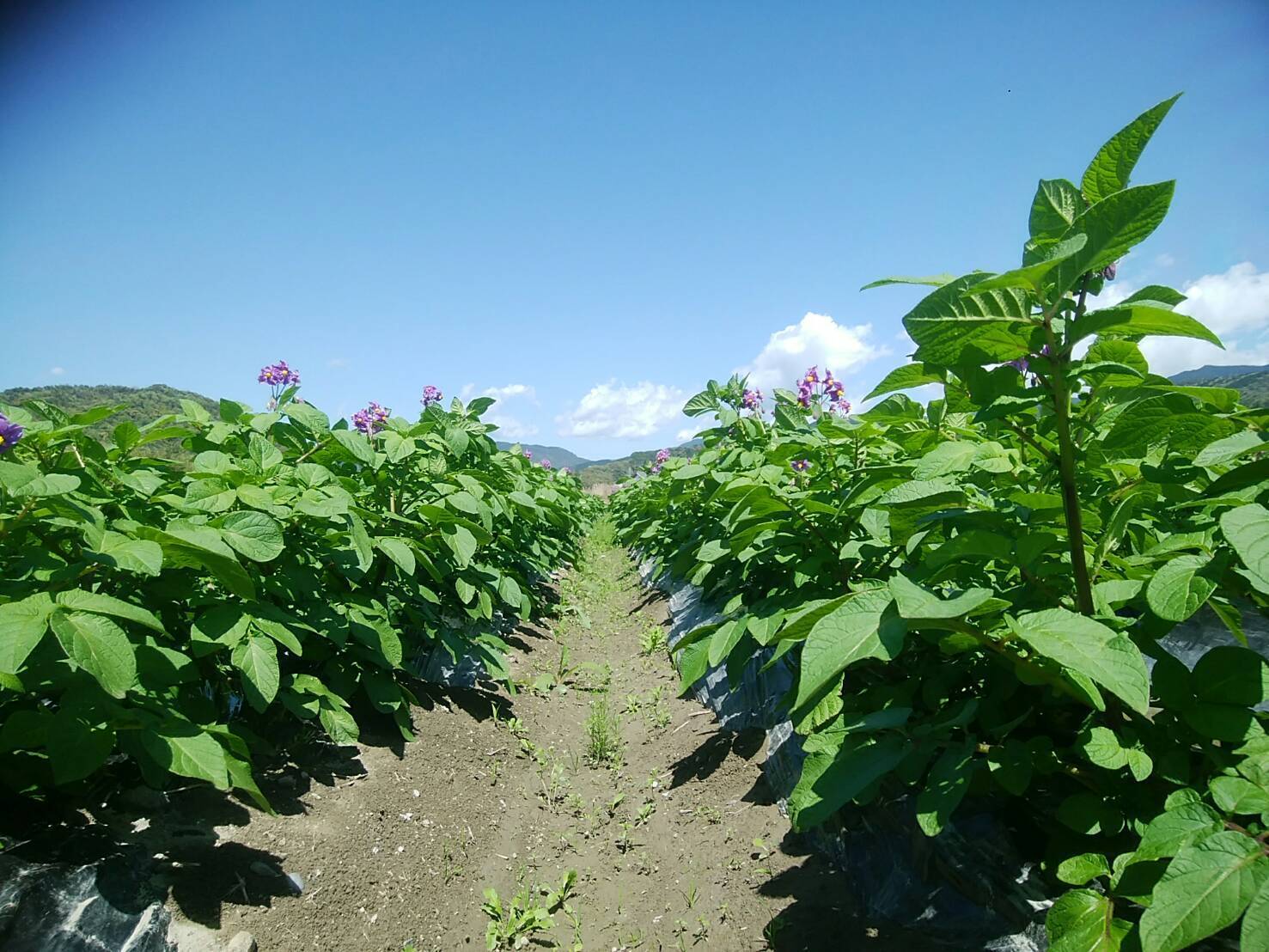 L5ebpegkytknfm L5ebpegkytknfm