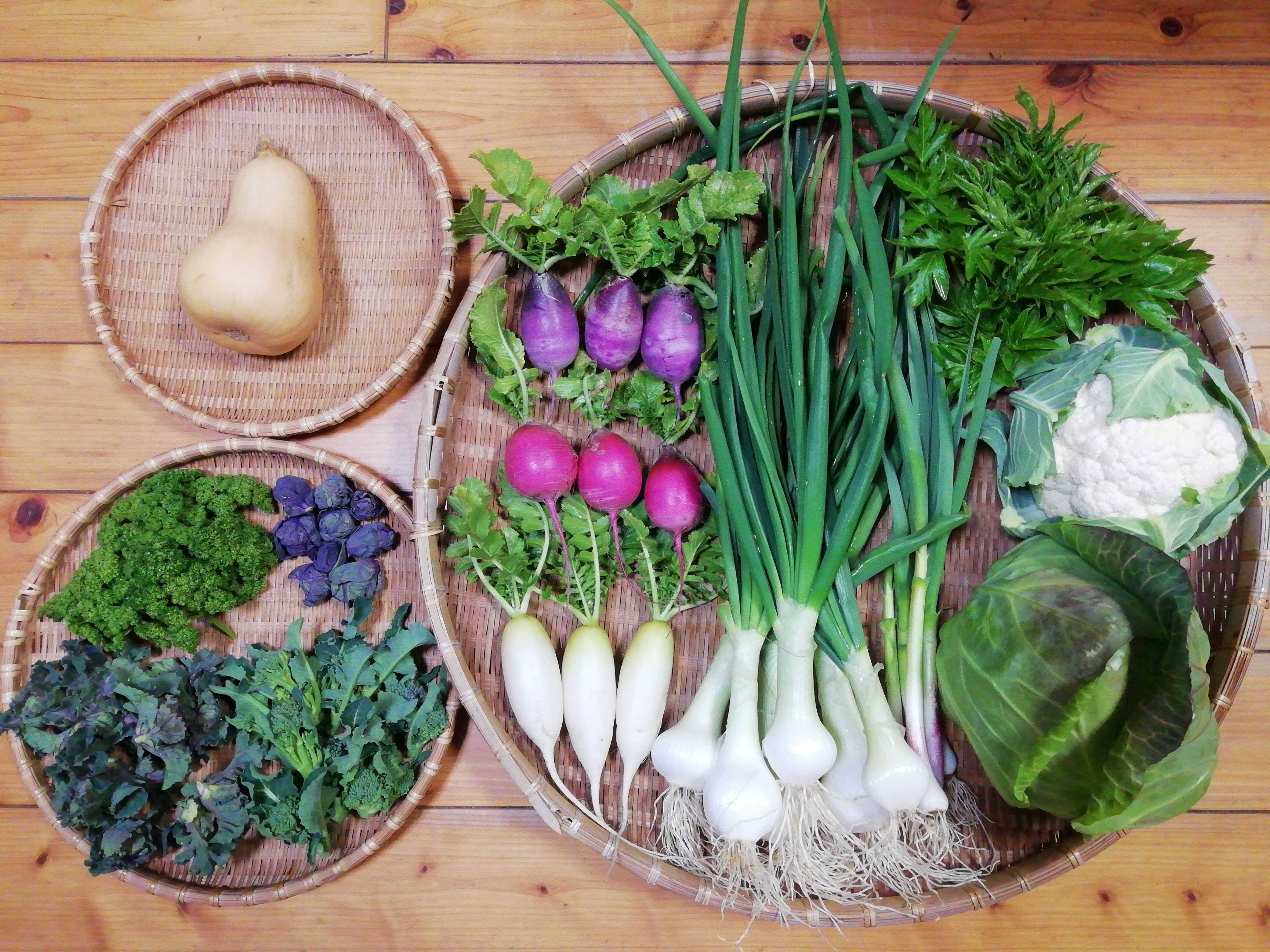 農薬化学肥料不使用】葉ニンニク入り野菜セット【8種類以上の野菜
