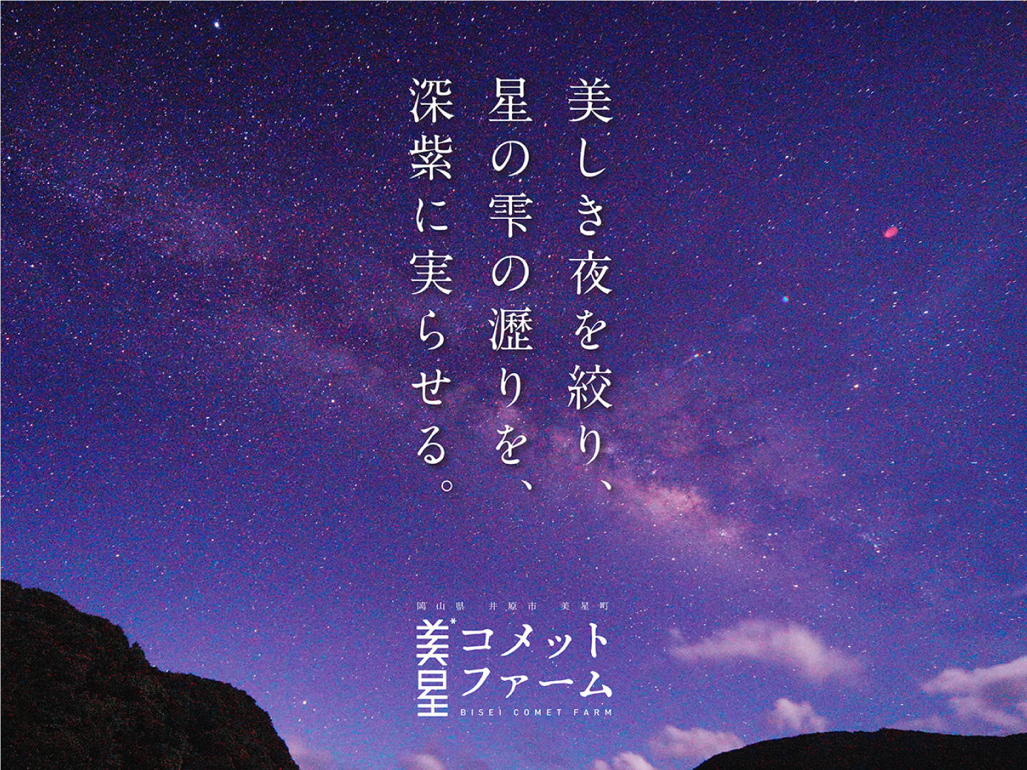 岡山県美星町「美澪」MIO ニューピオーネ 2kg：岡山県産のピオーネ