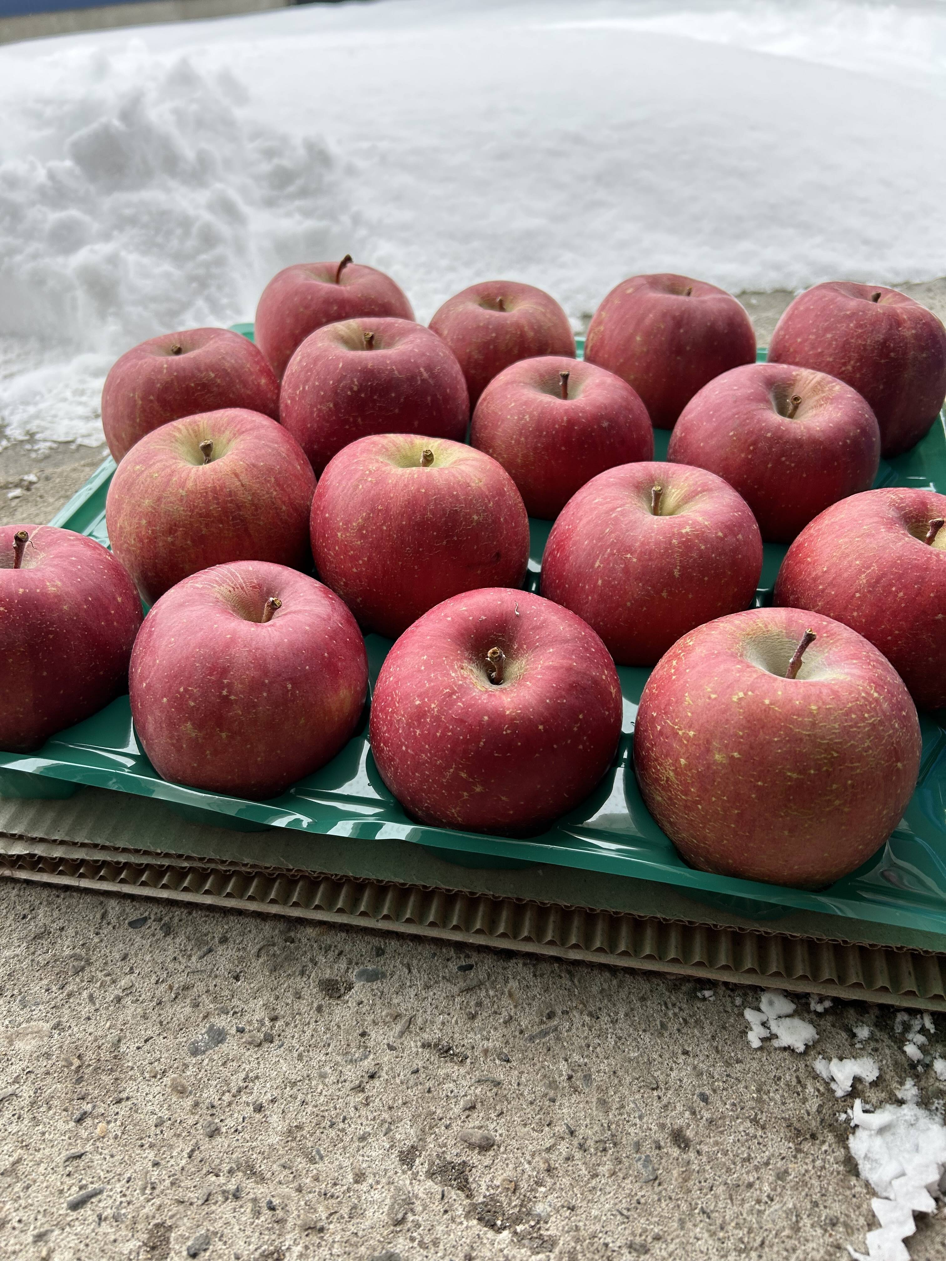 ぶしさん様 甘さと酸味が絶妙！青森県産サンふじ(訳あり) 約5kg 16個：青森県産の