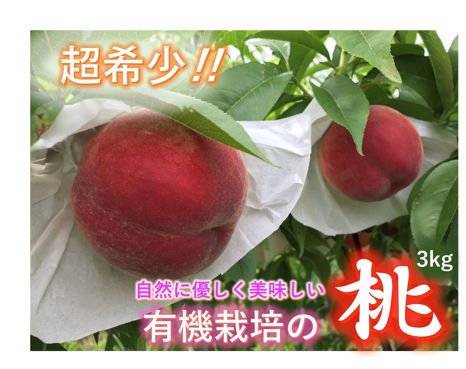 沖縄向けクール便】【有機栽培の美味しい桃約3kg（第一期）】自然に
