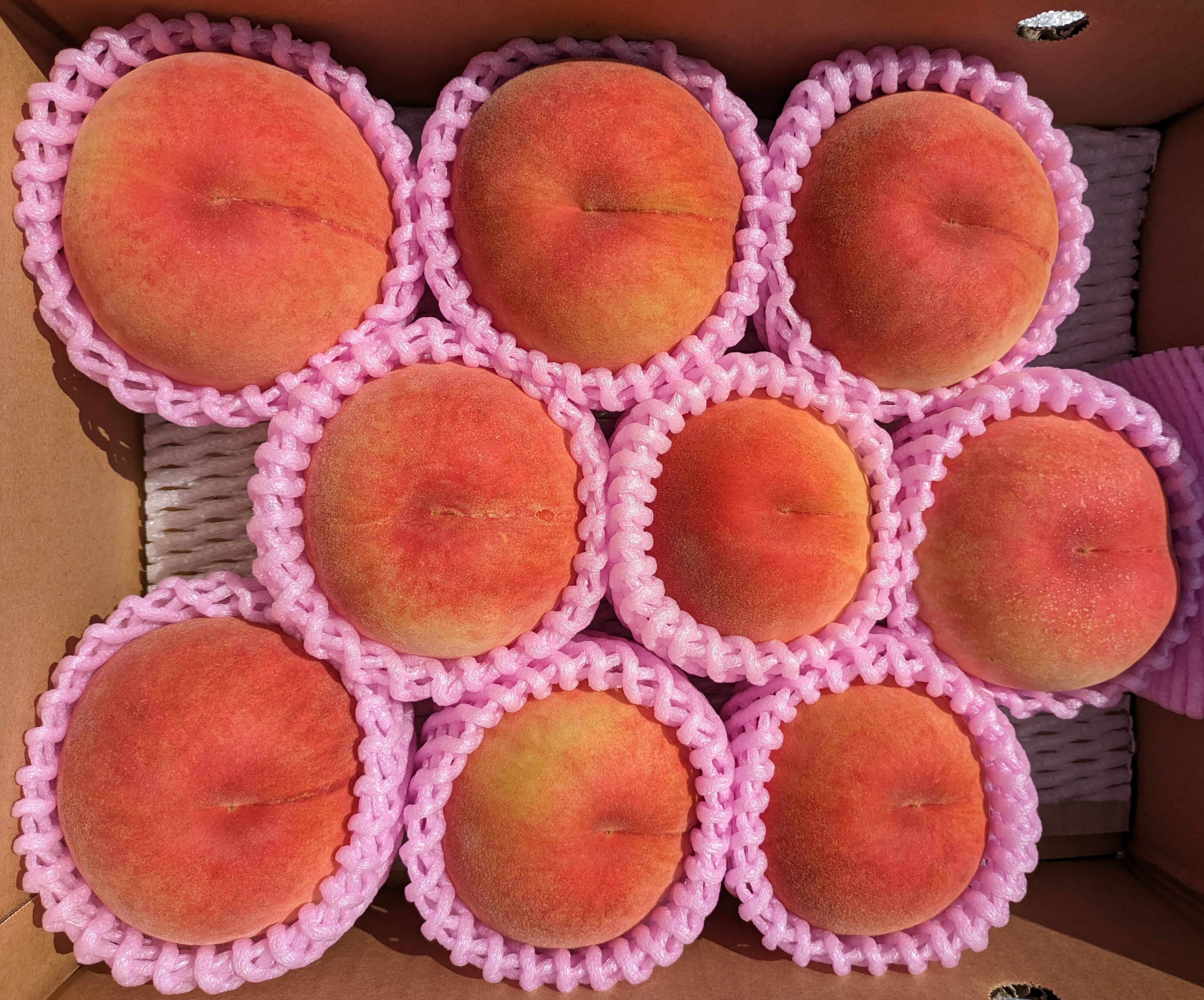 川中島白桃 （ご家庭用・3キロ箱・8～12個入り） 【クール便