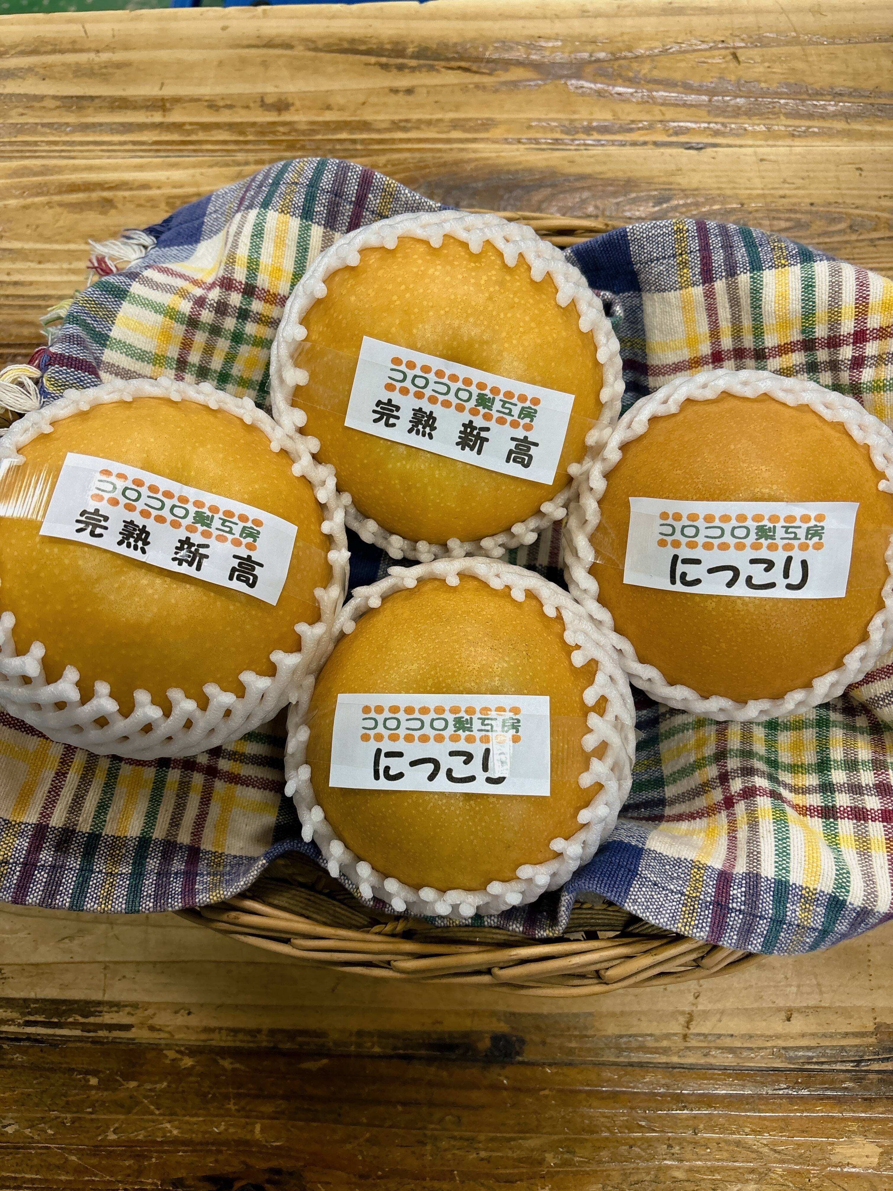秋の梨詰め合わせ🍐】新高とにっこり贈答用約5kg✨樹上完熟の甘く