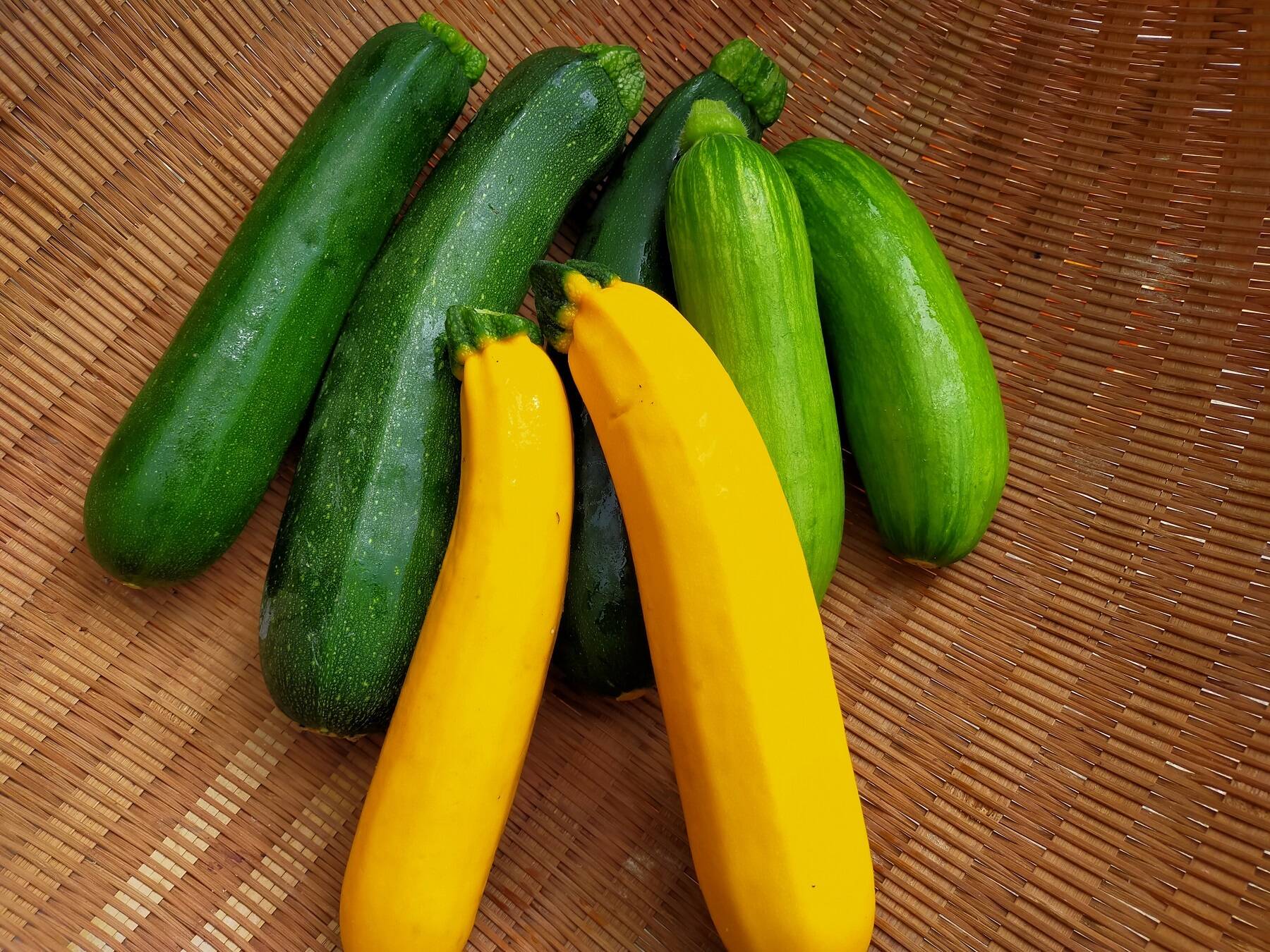今が旬!韓国かぼちゃとズッキーニの詰合せセット(2kg):愛媛県産の野菜|食べチョク|産地直送(産直)お取り寄せ通販 - 農家・漁師から旬の食材を直送 今が旬!韓国かぼちゃとズッキーニの詰合せセット(2kg):愛媛県産の野菜|食べチョク|産地直送(産直)お取り寄せ通販 - 農家・漁師から旬の食材を直送