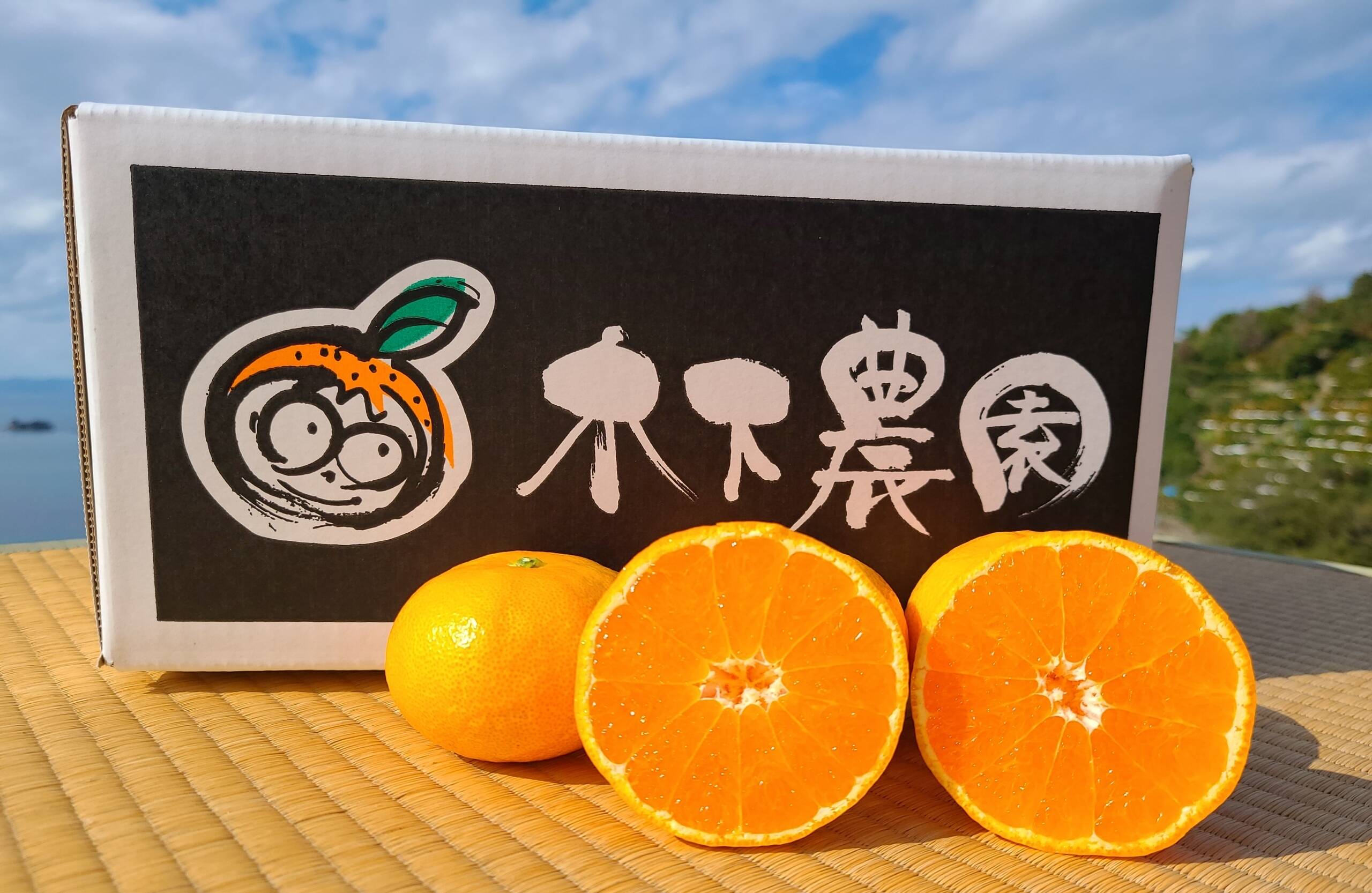 予約セール】木下さんちのみかん『小玉5キロ』：愛媛県産の
